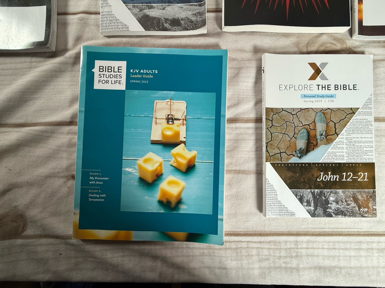 LOT OF Explore & Bible Studies For Life LifeWay Adults Leader/Personal Mixed