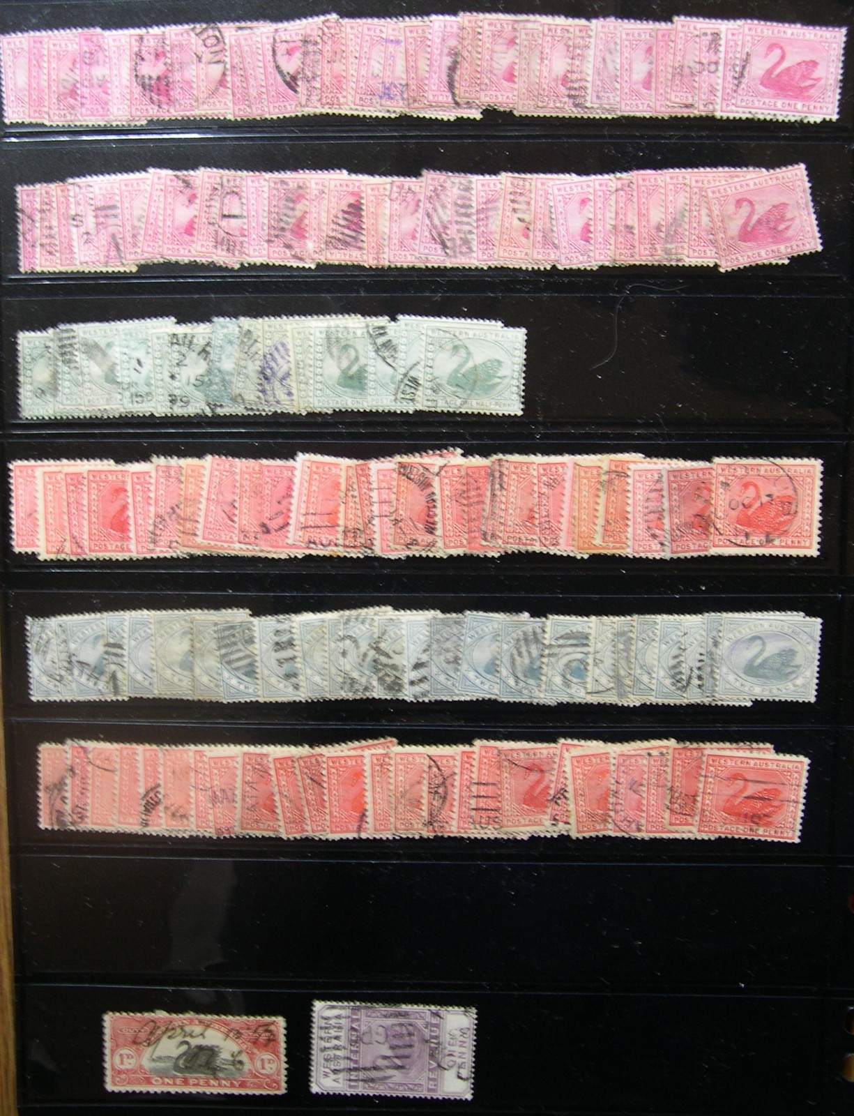 AUSTRALIA STATES collection USED mounted in vario stock album pages UX1