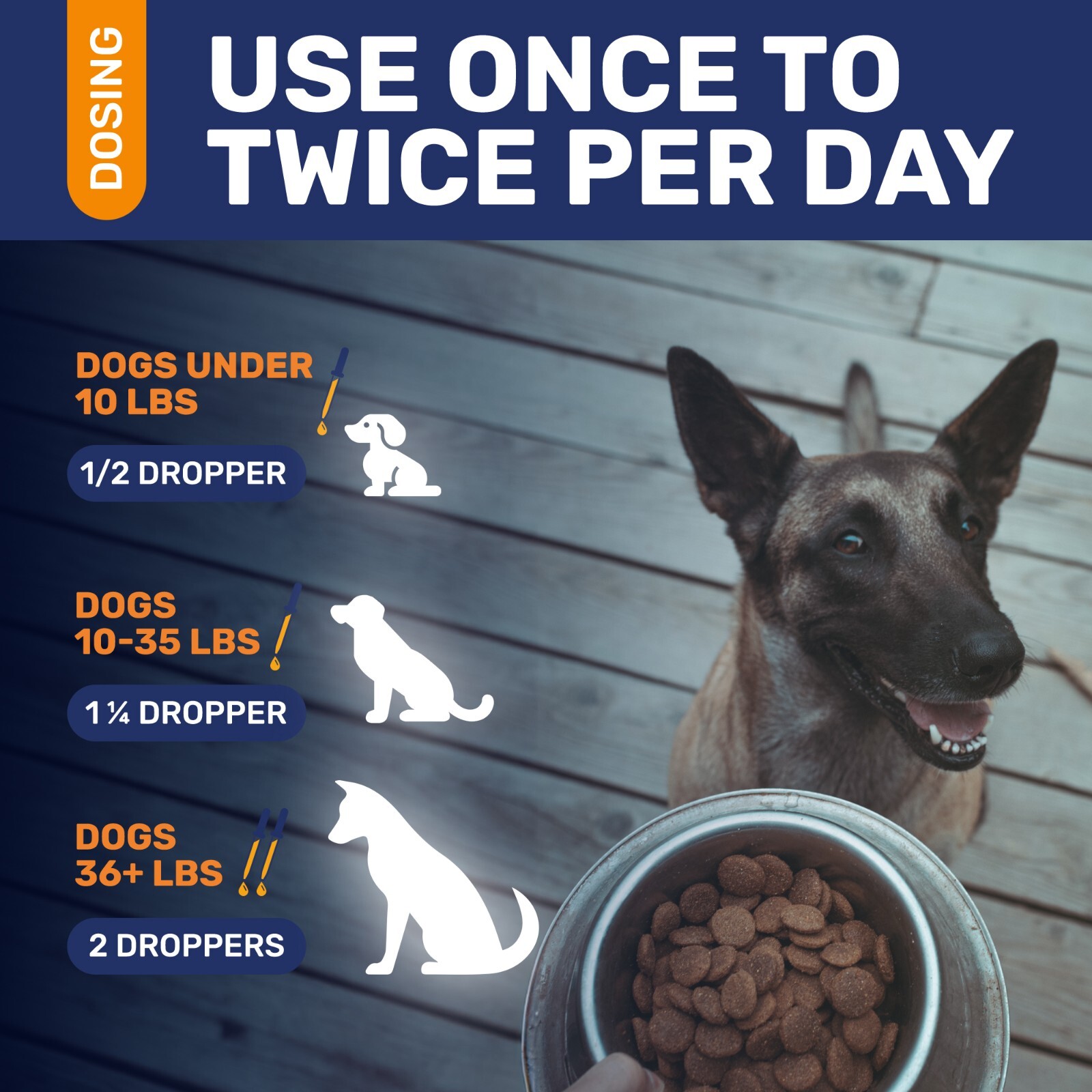 Natural Antibiotics for Dogs | Allergy & Infection Relief | Beef Flavor | 2 Oz