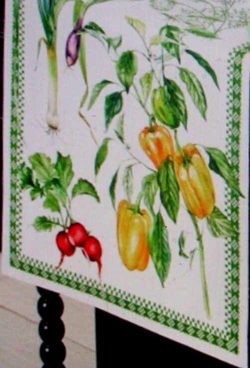 WILLIAMS SONOMA VEGETABLE TABLE RUNNER TWILL WEAVE COTTON 16X108 REVERSIBLE NWTG