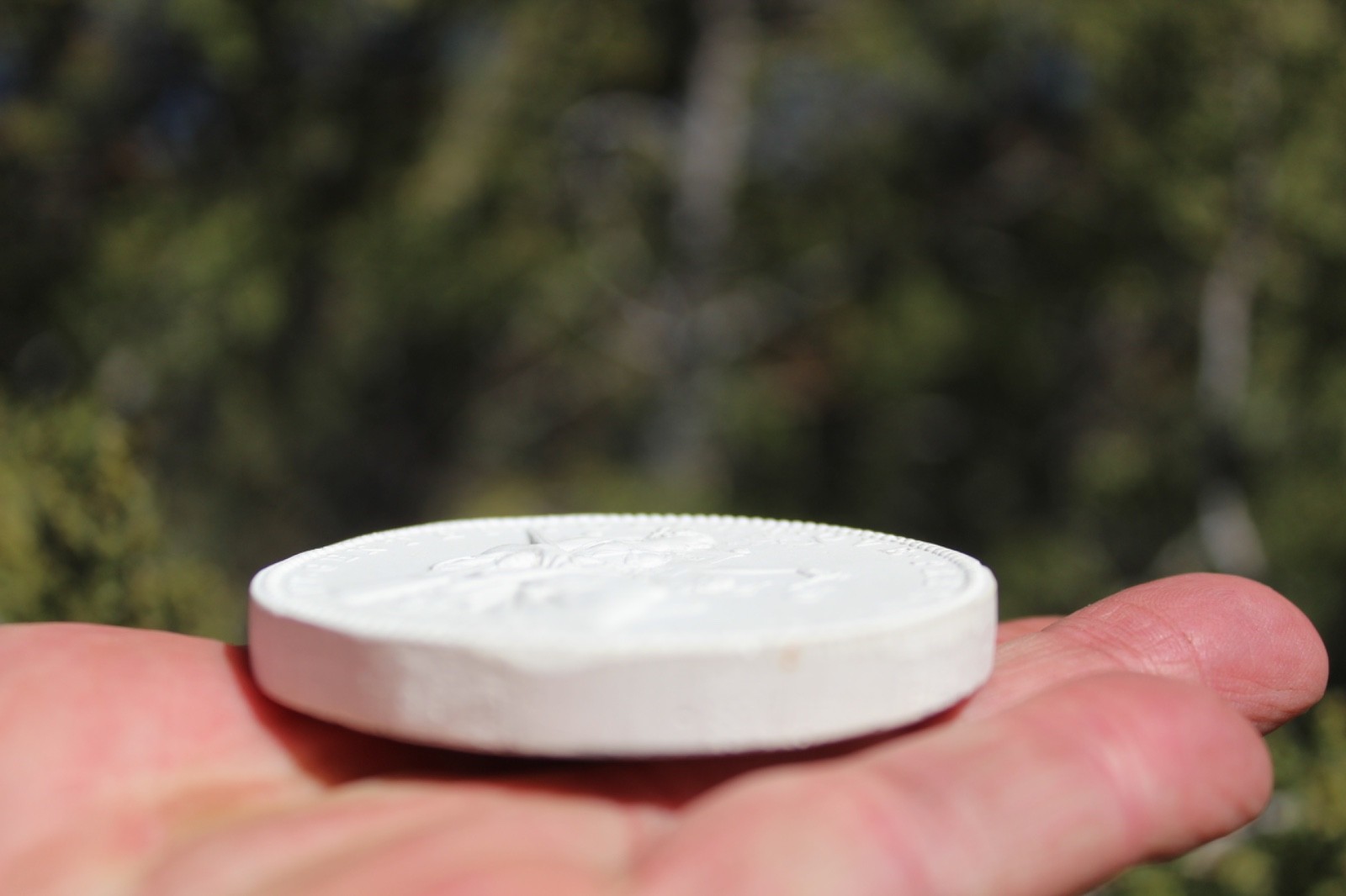 Art Medals Bronze Plaster CAST - SIGNED By Victor Brenner RARE - One Of A Kind!