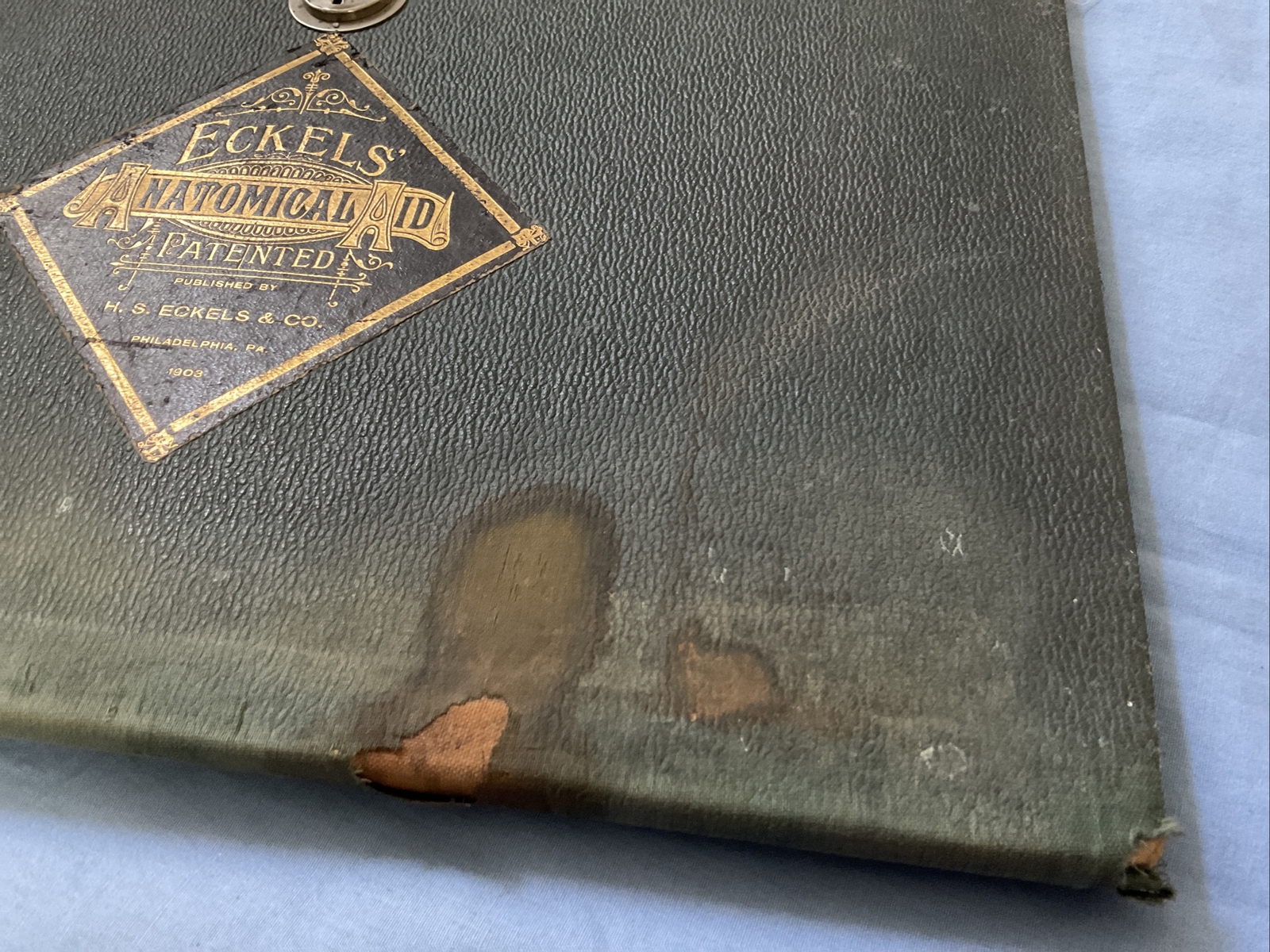 Antique Medical Anatomy Book Embalmer Anatomy Book Binder 1903