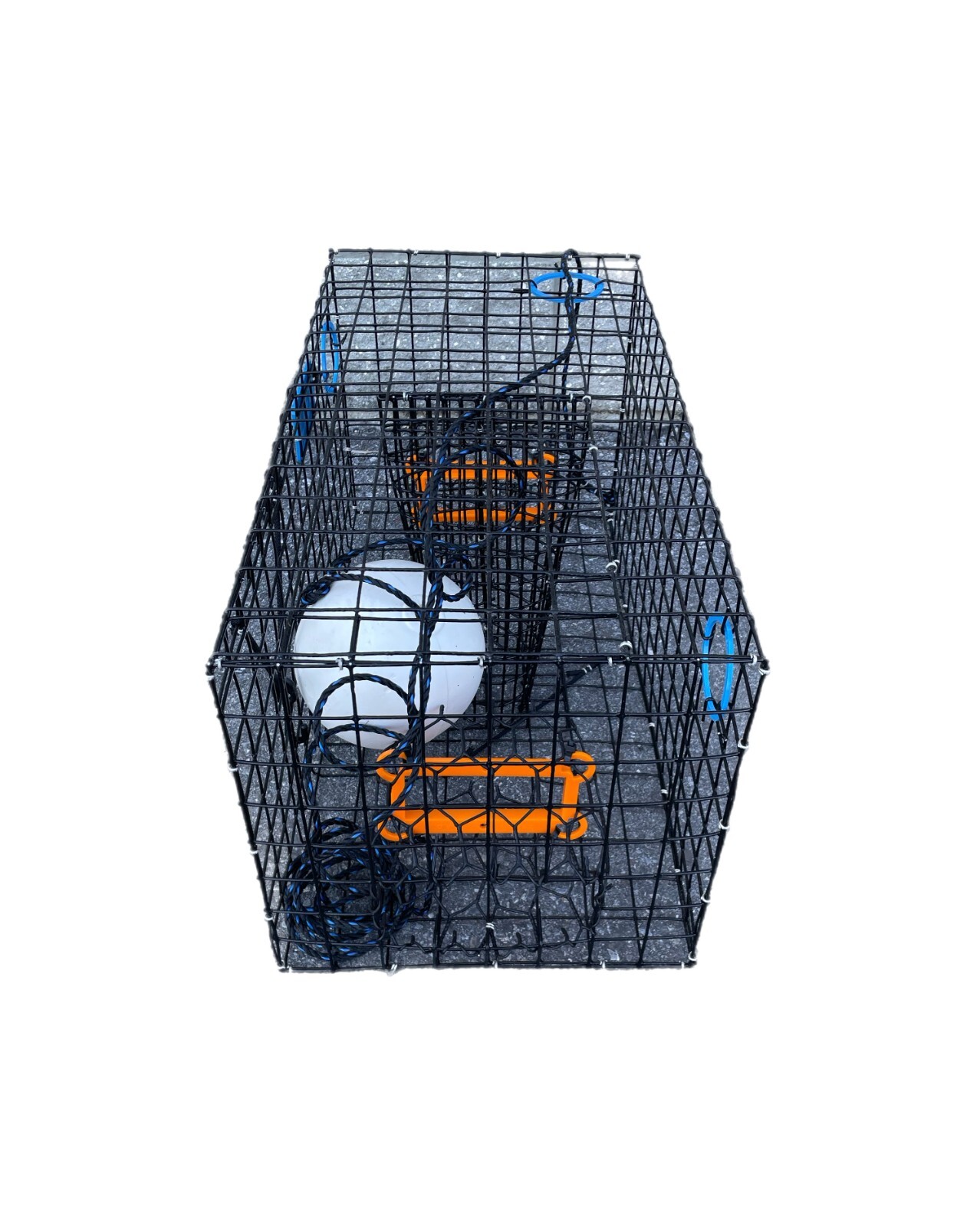 Metal Maryland Crab Trap