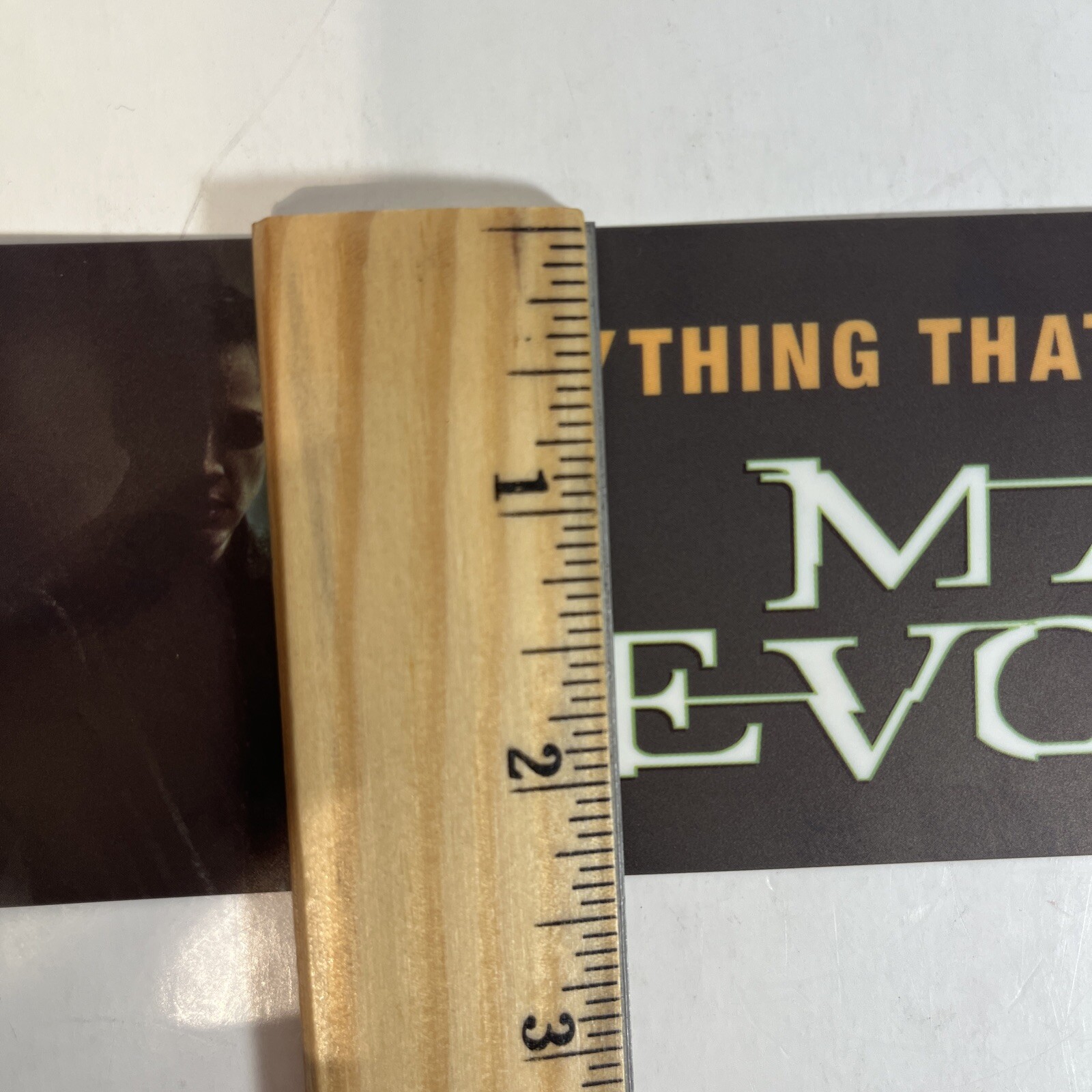 The Matrix Revolutions Movie Theater Mylar Banner 11.5 x 2.25 Inches 2003