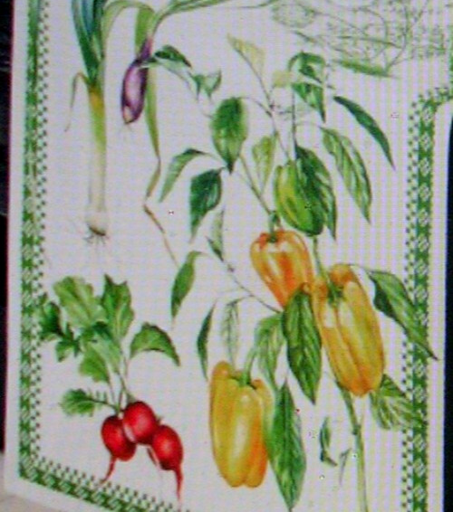 WILLIAMS SONOMA VEGETABLE TABLE RUNNER TWILL WEAVE COTTON 16X108 REVERSIBLE NWTG