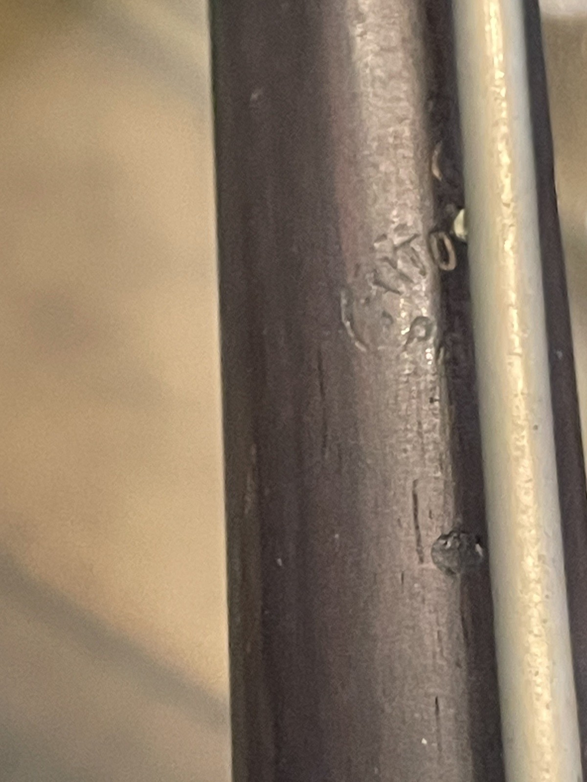 Old Early Antique Tito Belati Perugia Wooden Oboe View My Other Sales Estate