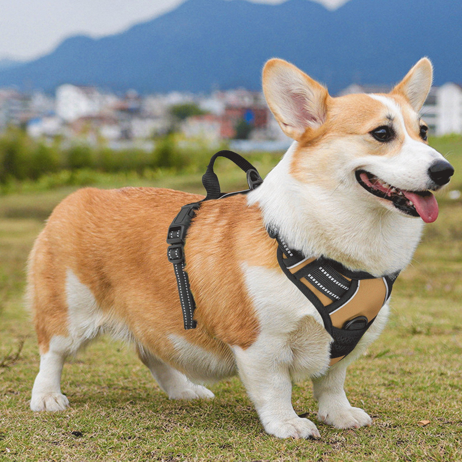 No Pull Reflective Dog Pet Harness Control Handle Adjustable Control Vest Brown