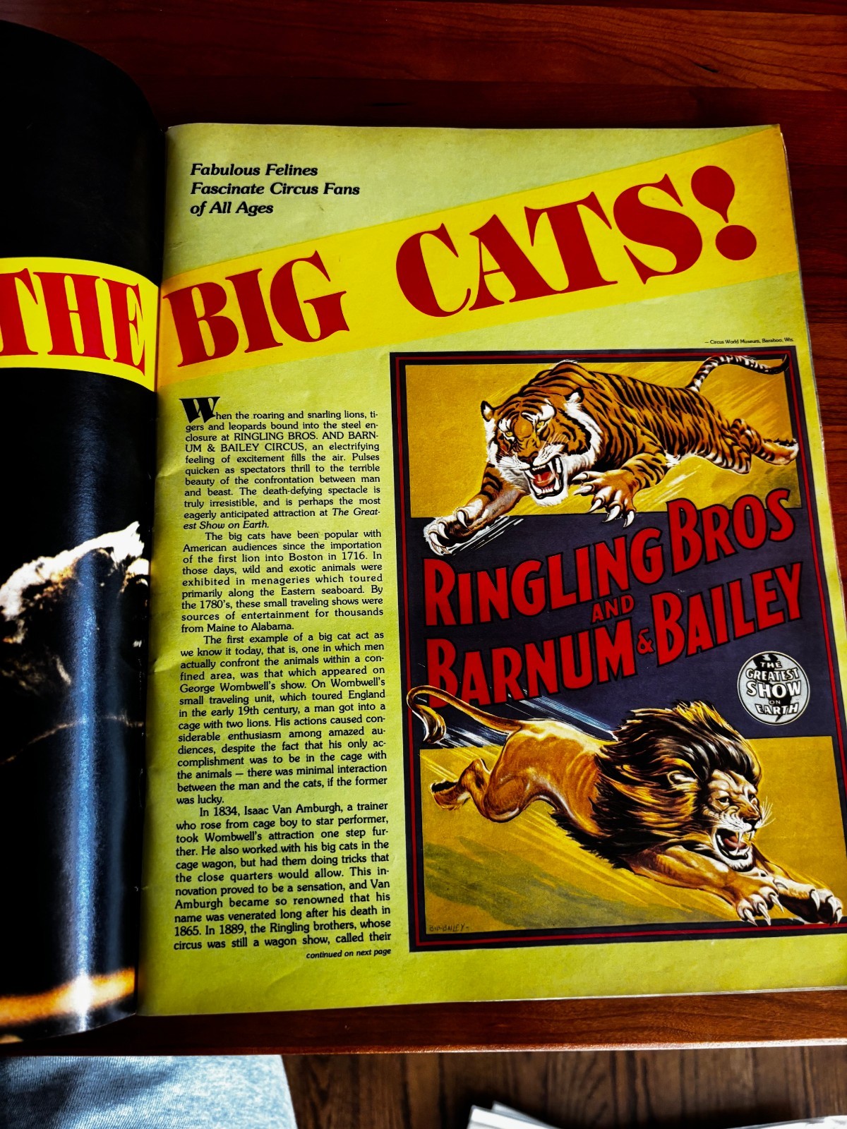 FREE SHIP! Ringling Bros Barnum Bailey Circus Magazine Program 1978 108th Ed