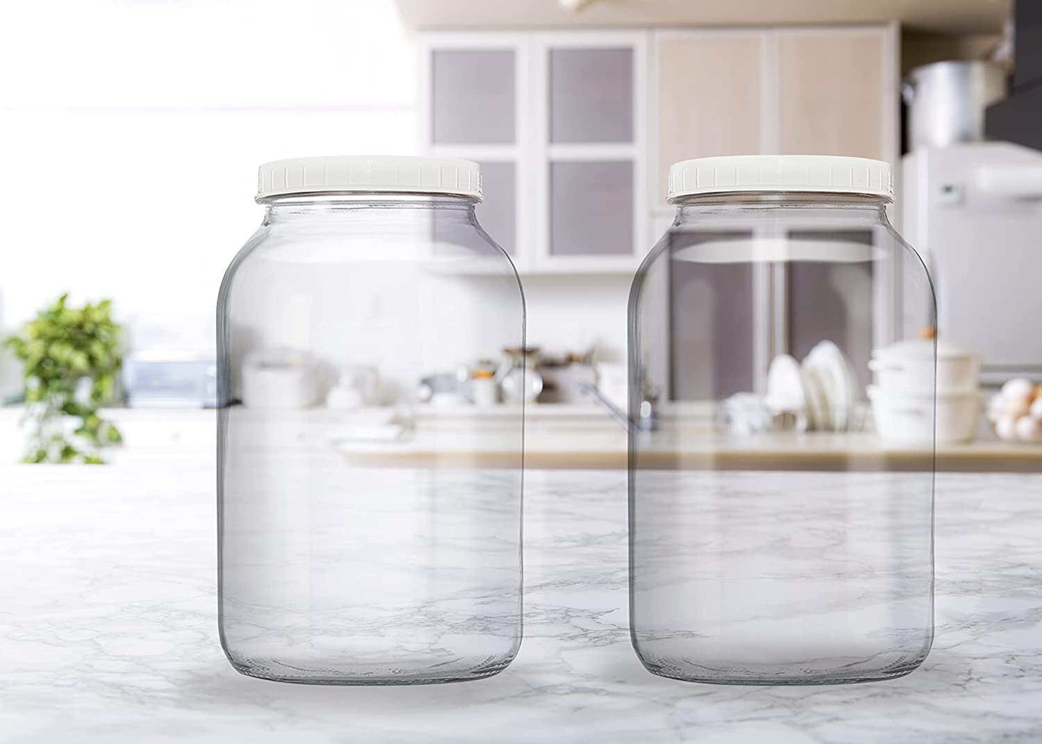 2 Pack, One Gallon Glass Jars with Muslin Cloth Covers & Rubber Bands