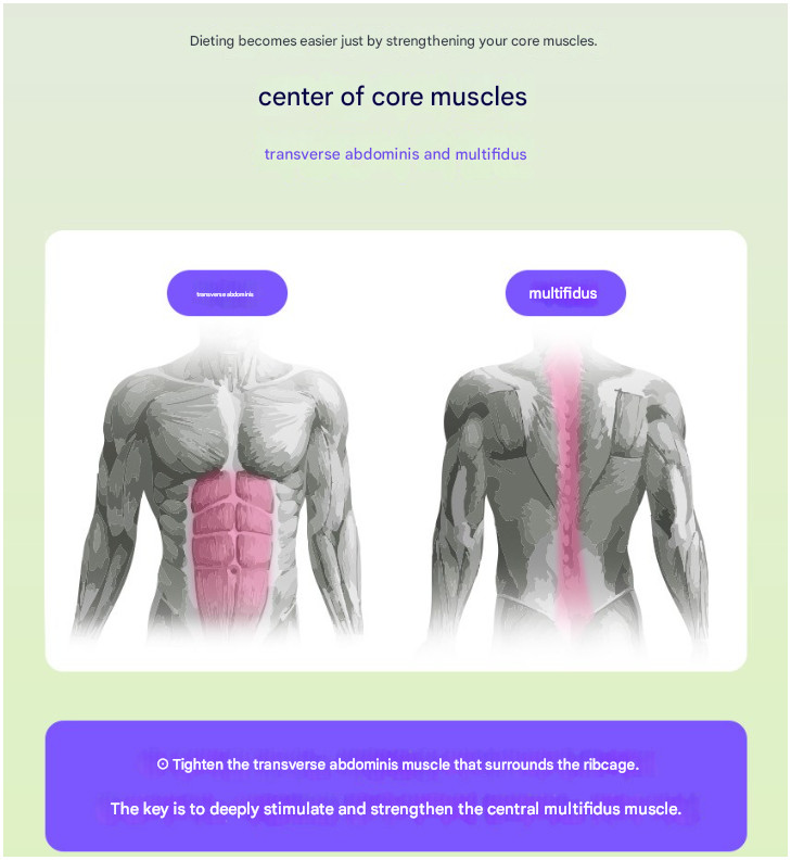 Ergobody Shape EMS Abdominal Massage Belt Enhance Core Stability Waist Trimmer