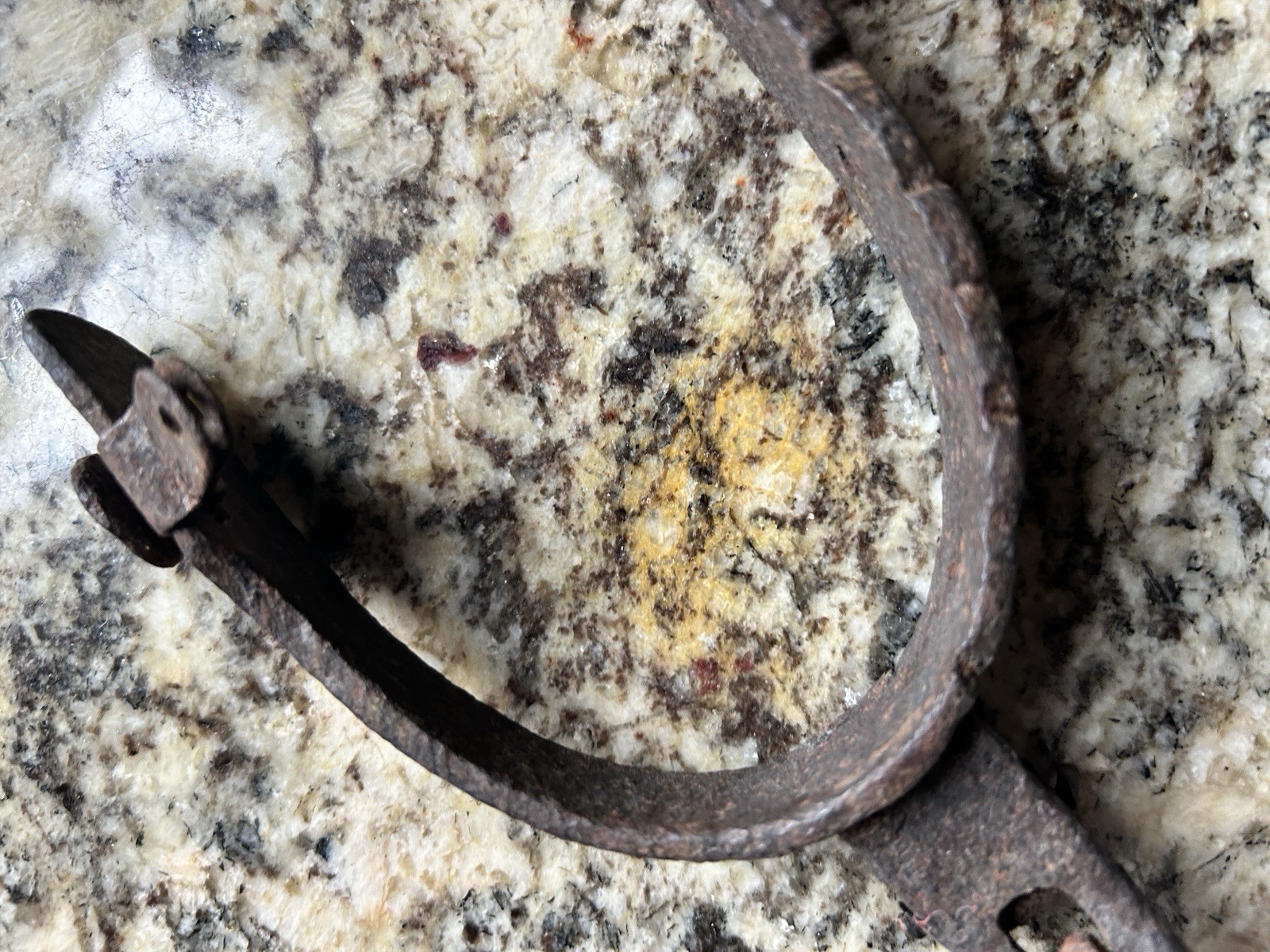 Western Type Spur with 8 Point Rowel