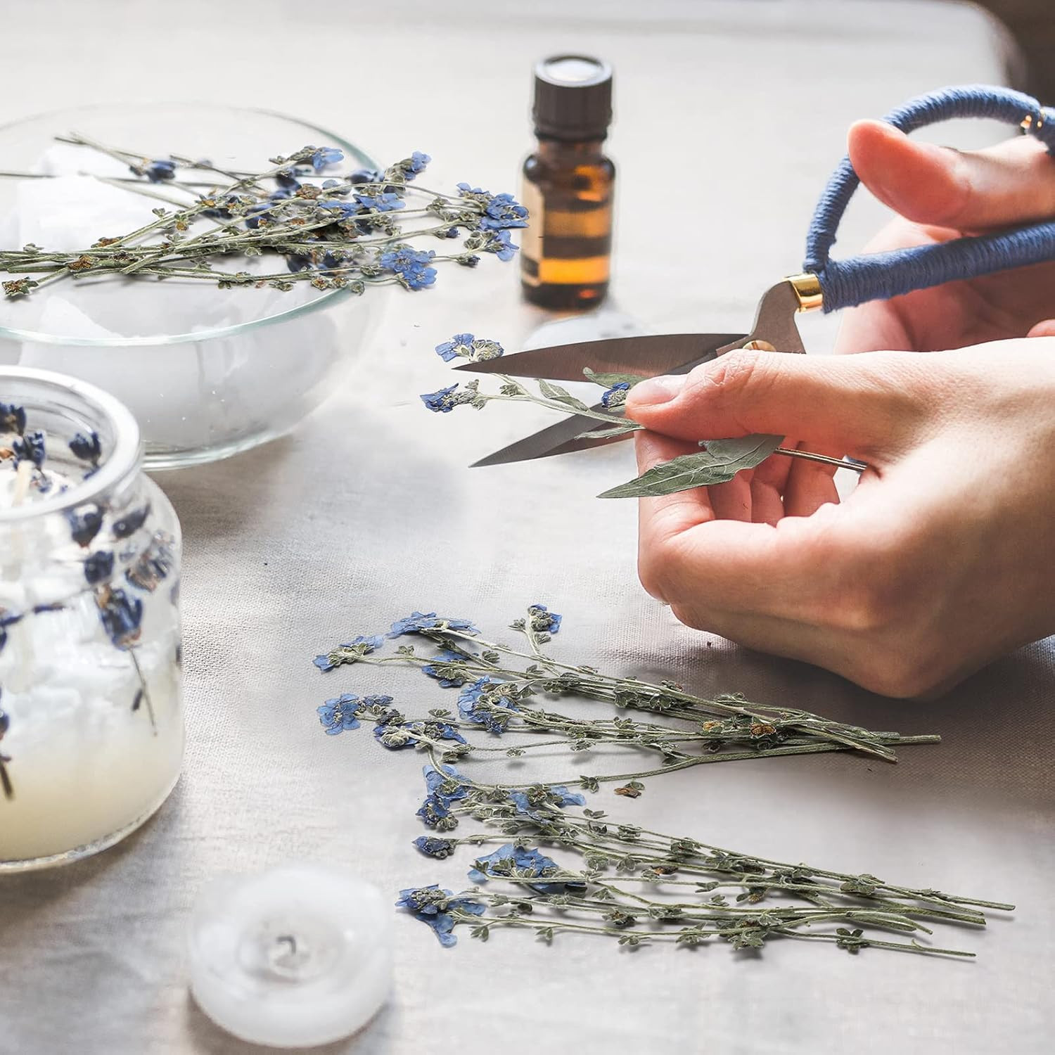 50 Pcs Natural Forget Me Not Pressed Dried Flowers Blue Don'T Forget Me Dried Fl