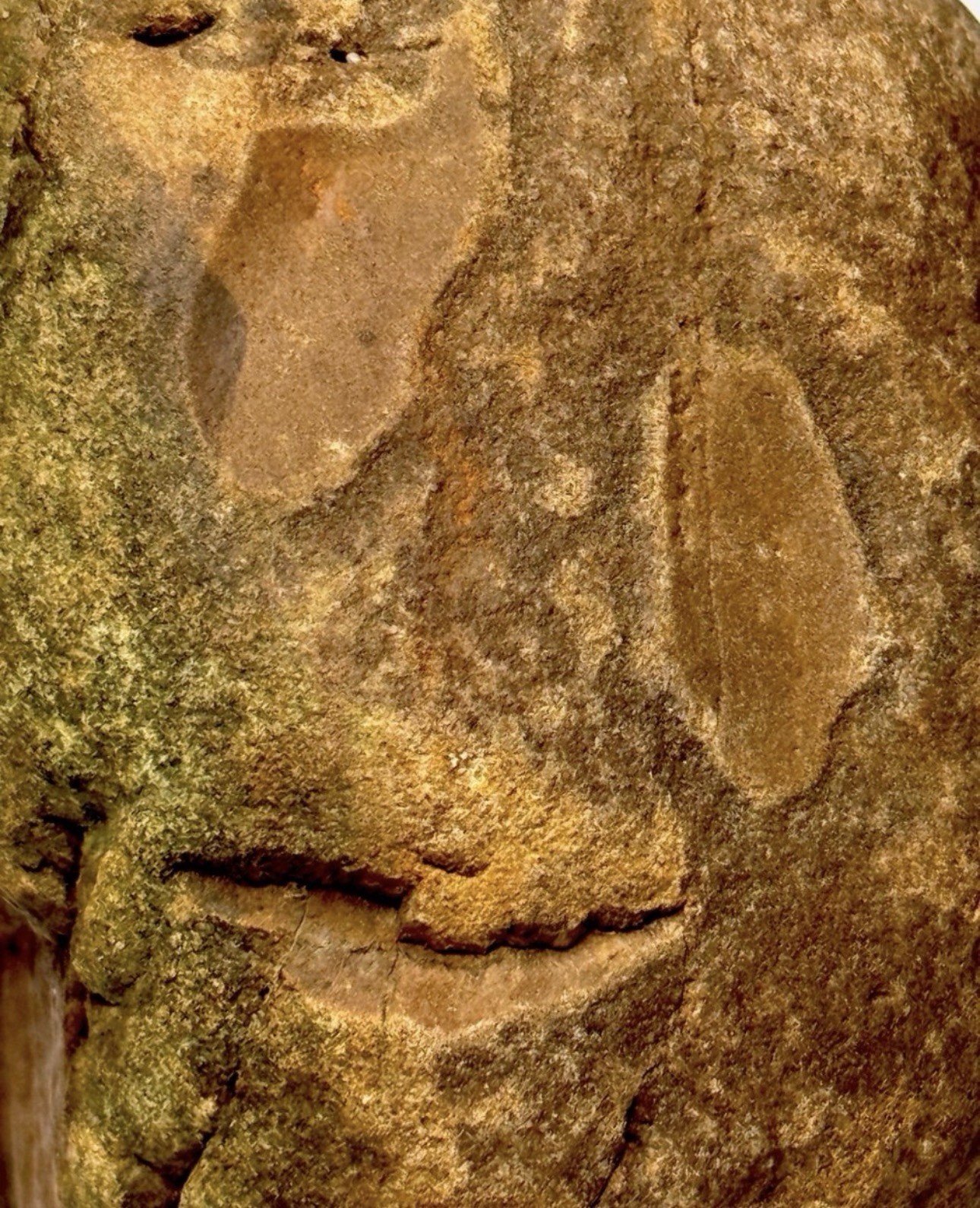 Native American Indian Authentic Artifact Stone Carved Effigy, 3 lb 2 oz • VA