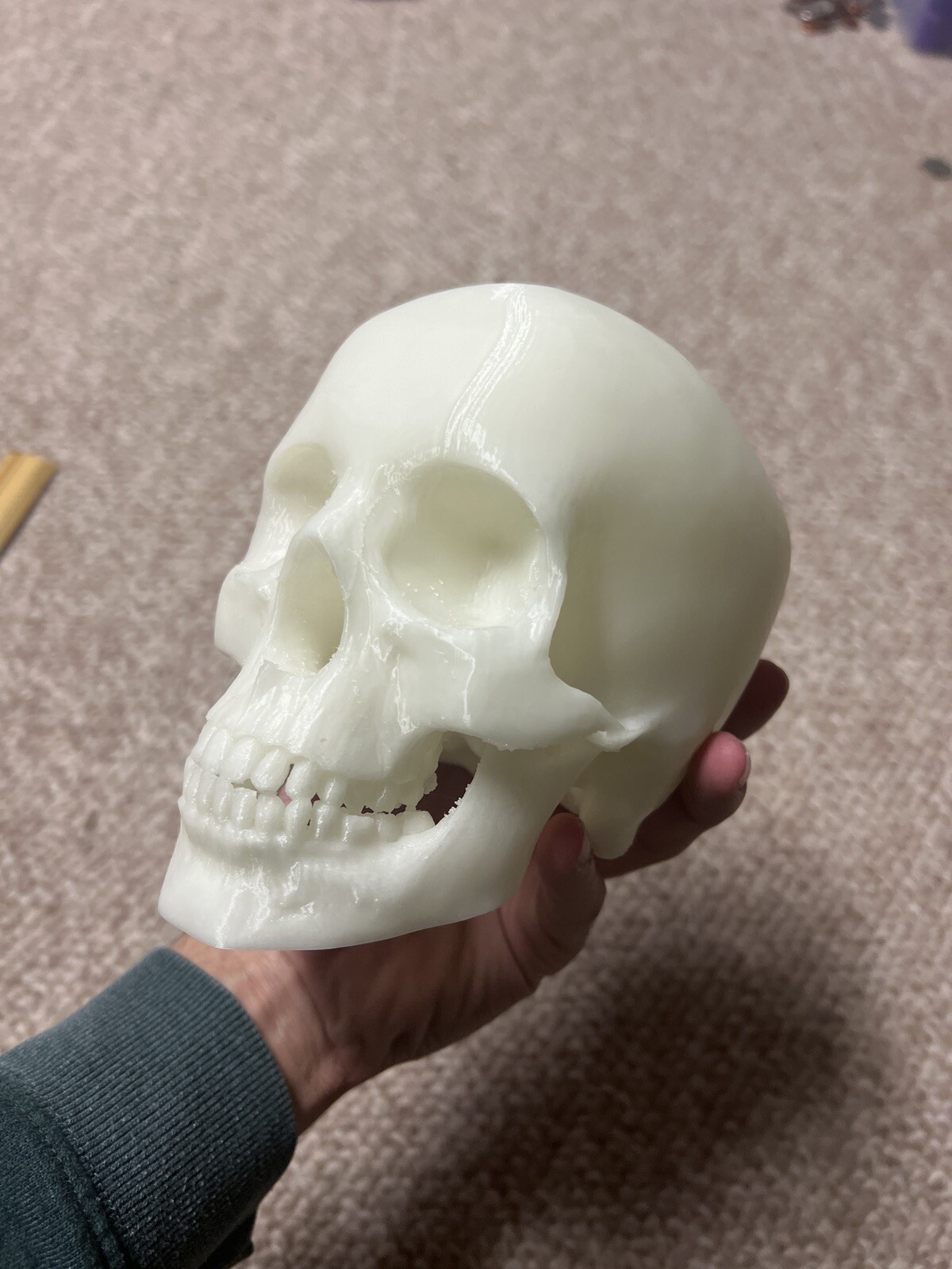 Glow In the Dark Human Skull! (Good Quality:3DP:White-PLA) GREEN OR BLUE GLOW!