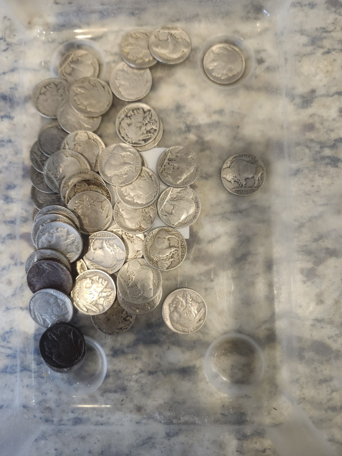 Buffalo Nickel Starter Set