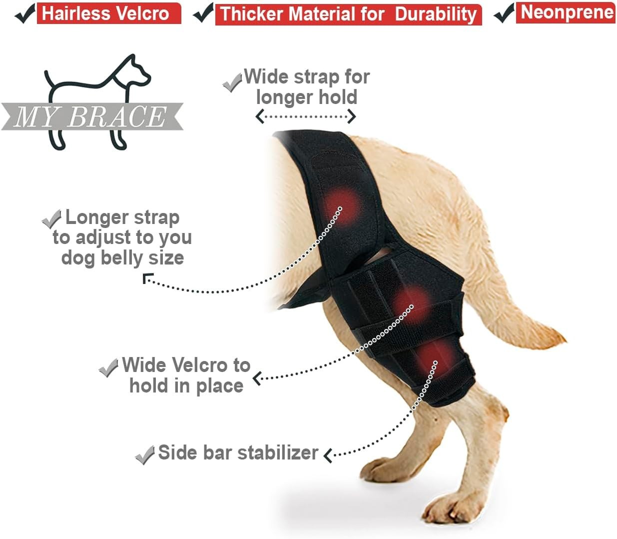 Dog Knee Brace for Torn Acl Hind Leg for Support with Cruciate Ligament Injury,