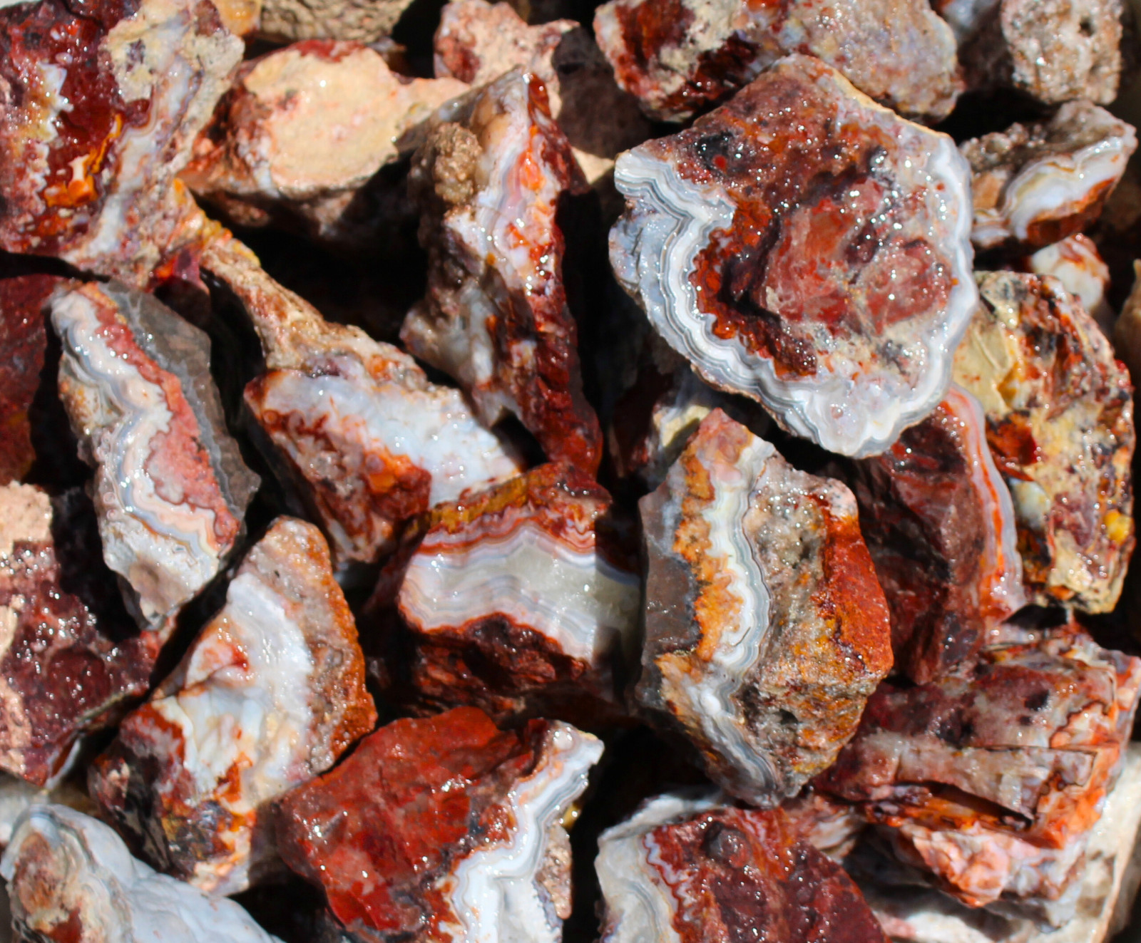 Mexican Lace Agate - Rough Rocks for Tumbling from Mexico - Bulk Wholesale