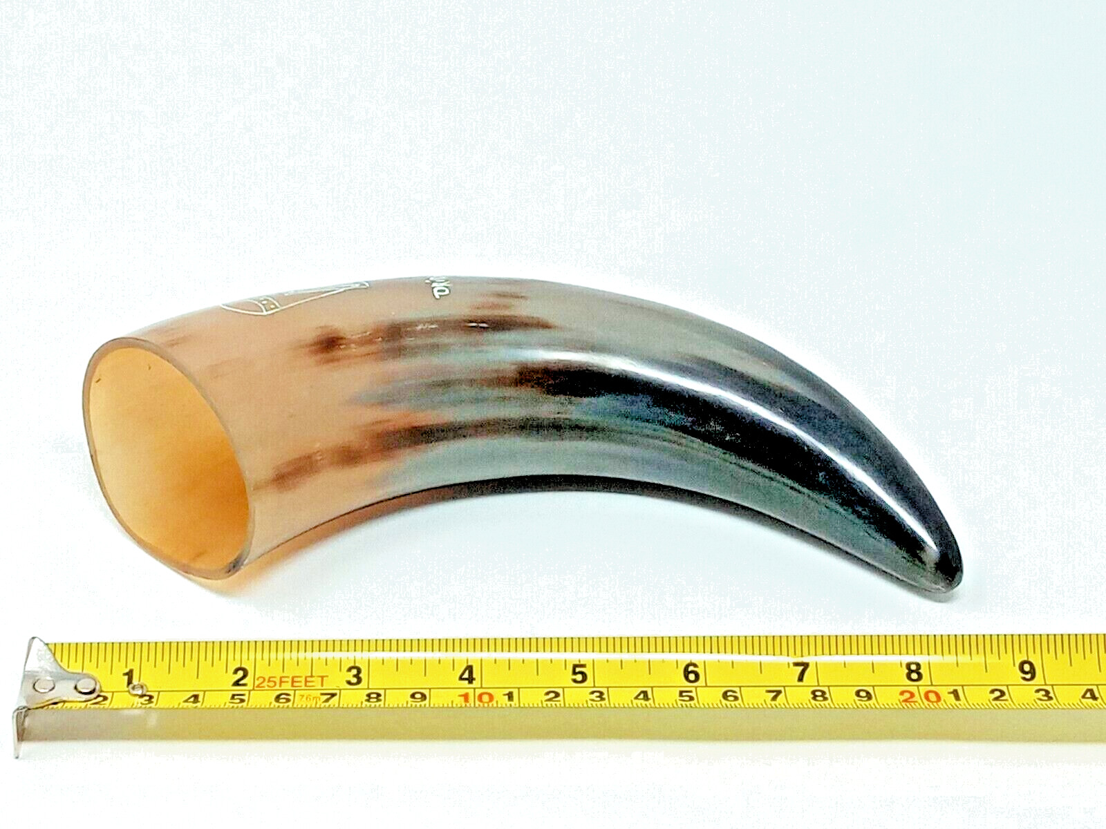 Drinking Horn Meadery Natural Cow / Steer horn euc black and blonde color