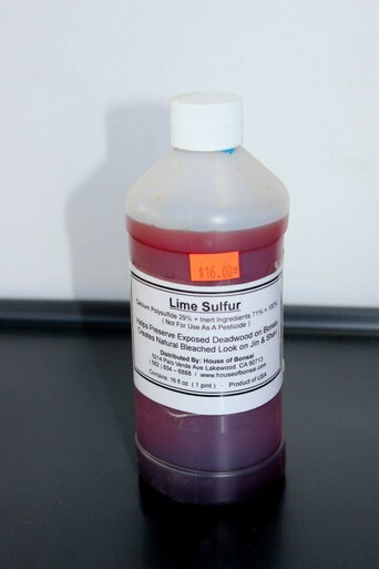 Liquid Lime Sulfur 29% Concentrate for Bonsai Jin and Shari - 16oz / 1 pint