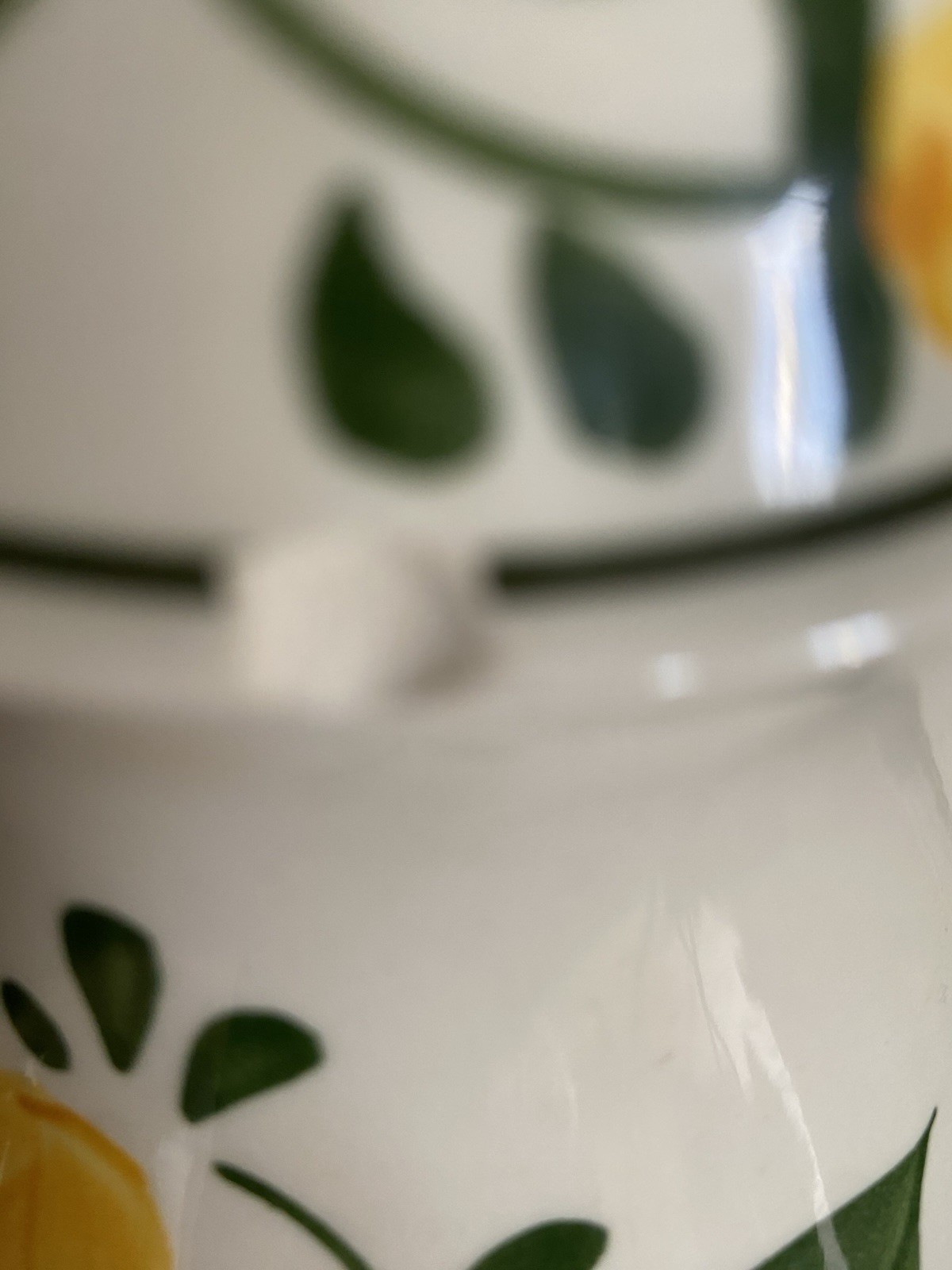 Villeroy und Boch Bauernblume grosse Kaffeekanne Kanne 1,6 Liter Coffee Pot