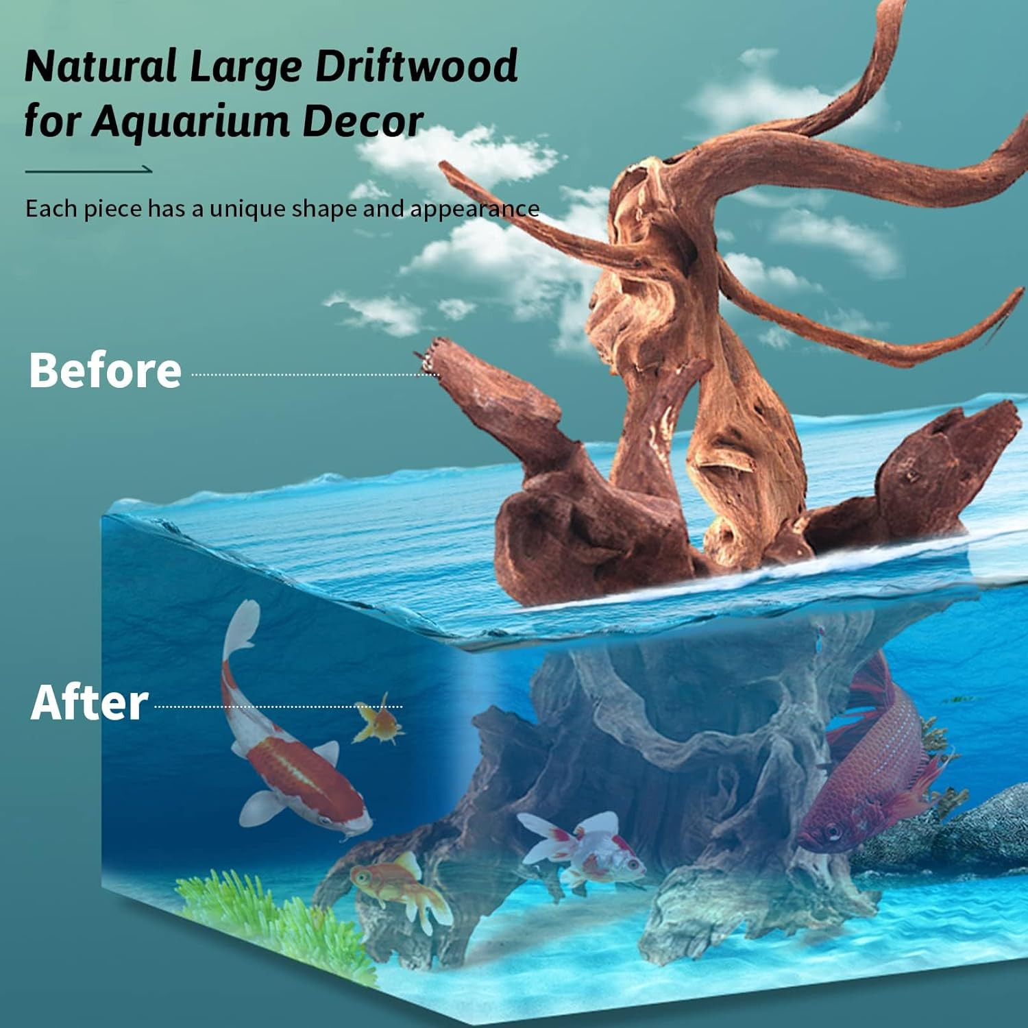 Natural Large Aquarium Driftwood 2 PCS 8-18 Inch for Fish Tank & Terrarium