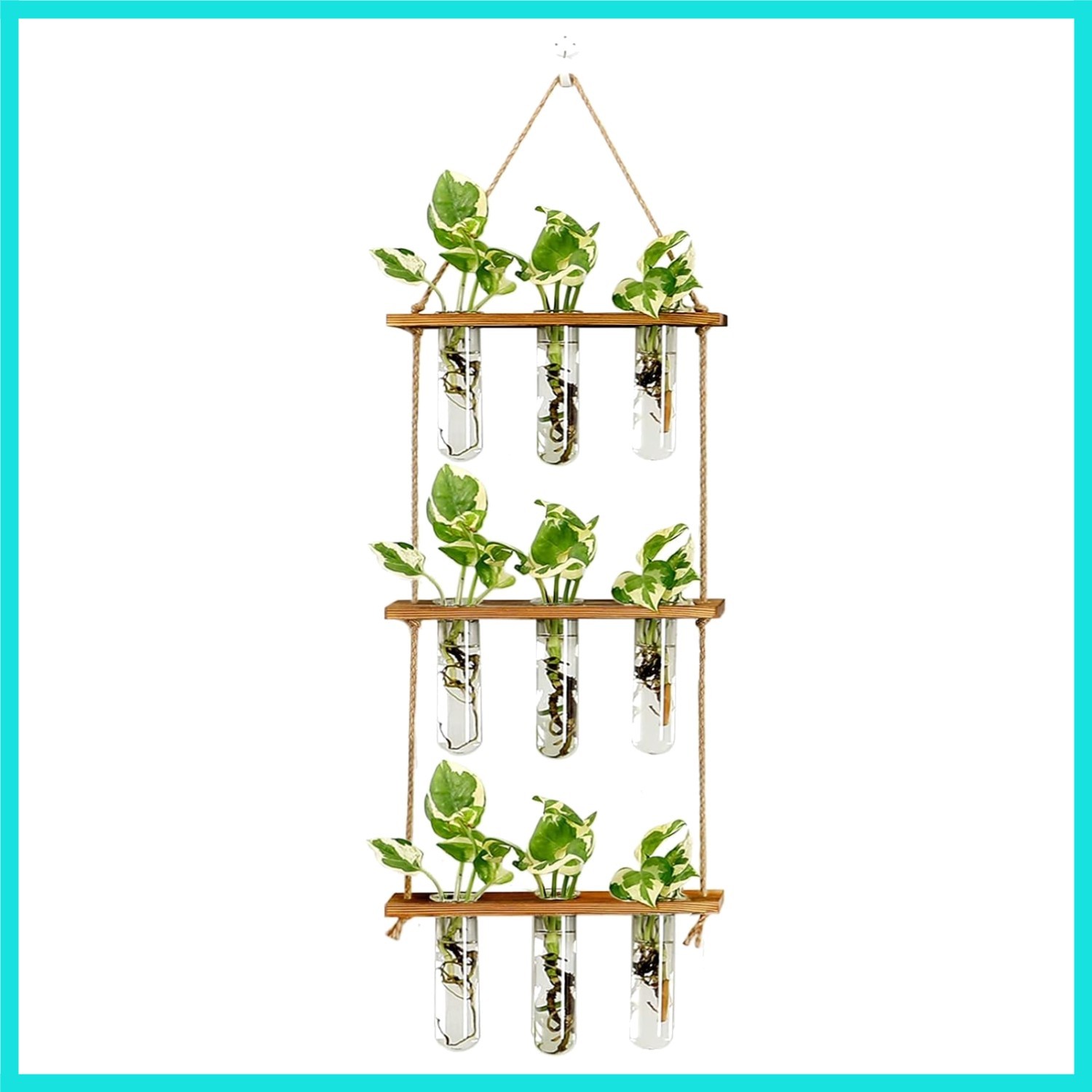 Wall Hanging Propagation Station with Wooden Stand Glass  Tubes Tiered Plante...