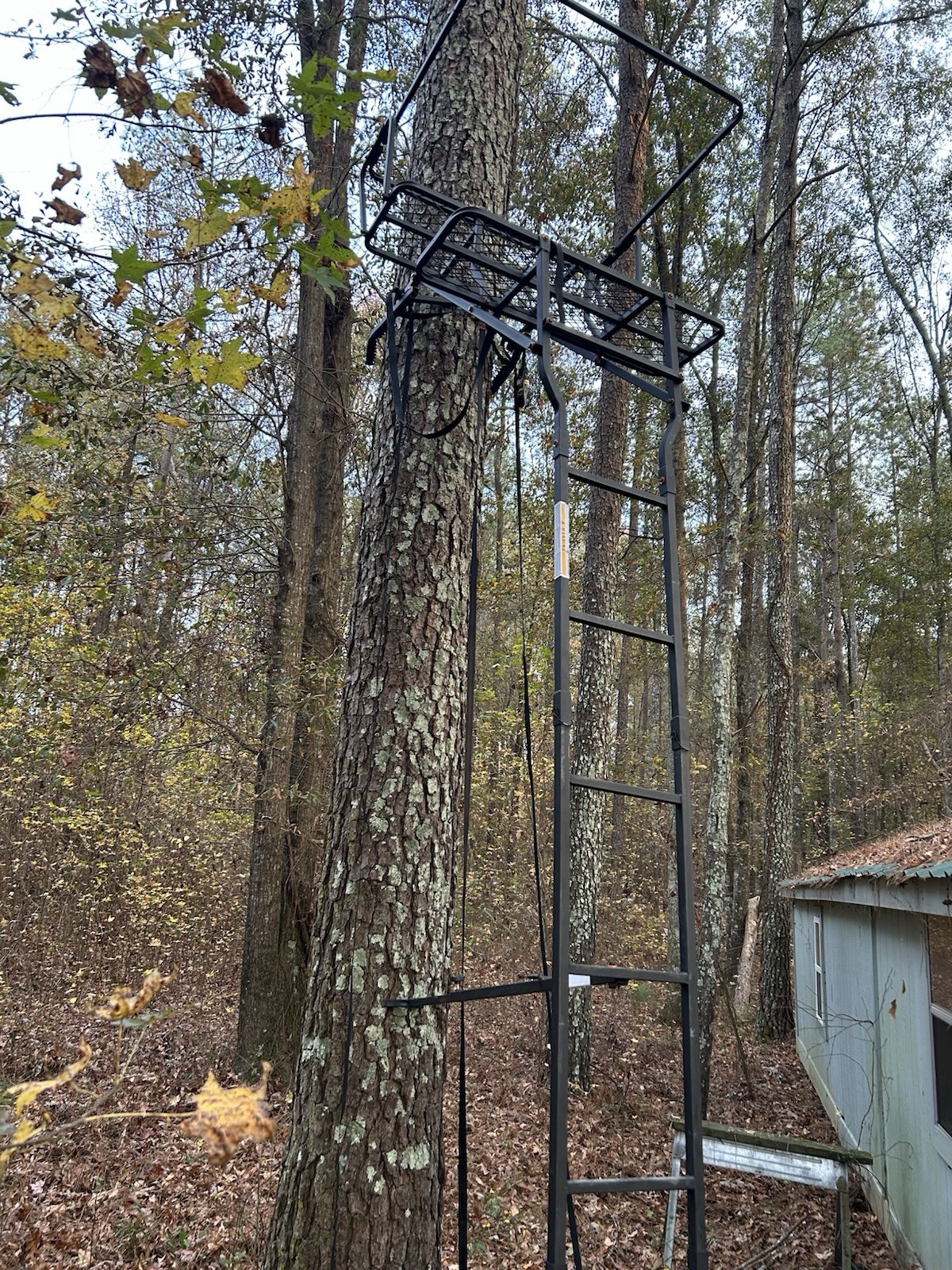 Sportsman’s Guide Gear 15’ Double Shot Jaws Ladder stand