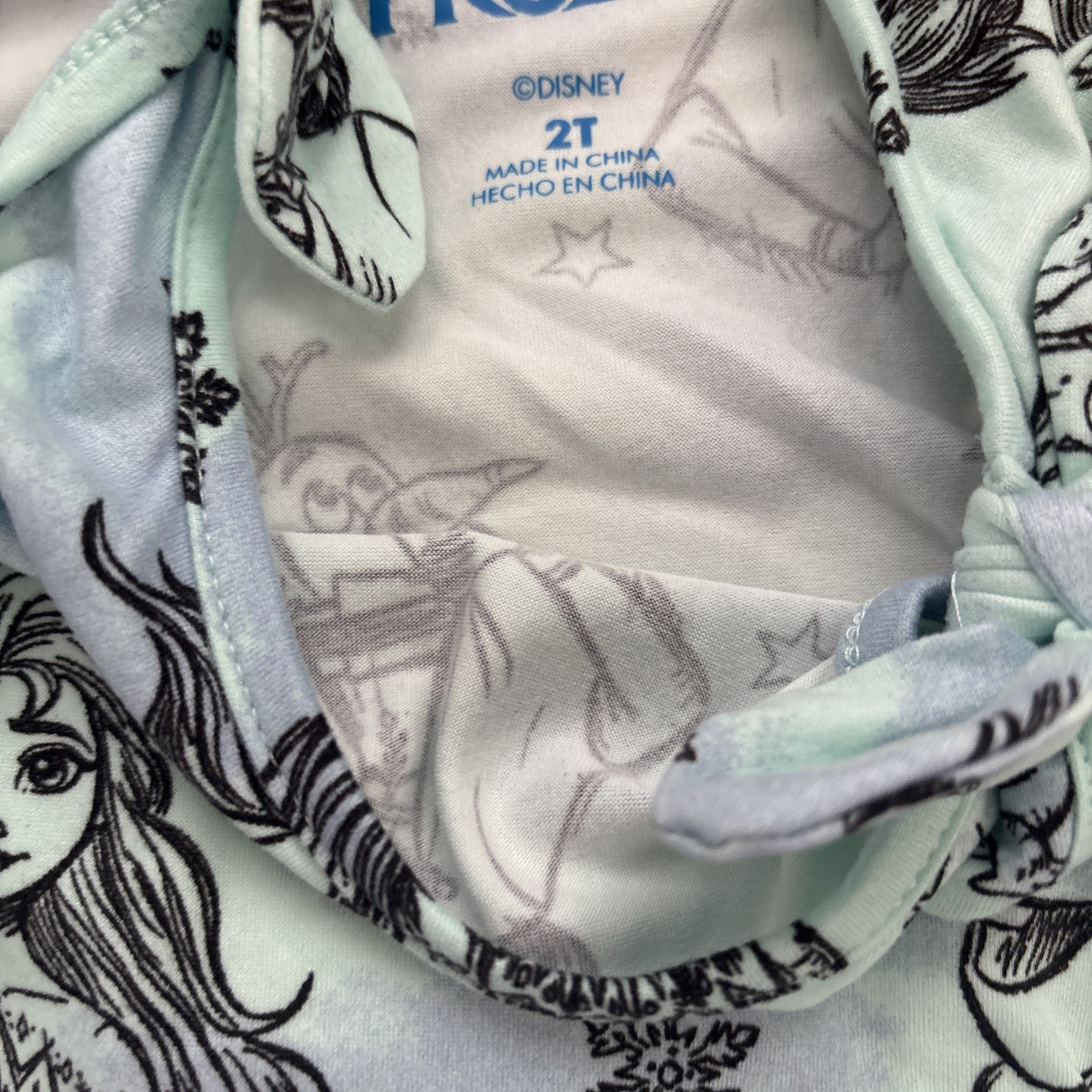 (2) Toddler girls size 2T Disney Princess frozen spring summer dresses