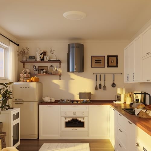 7.5-Inch LED Disk Lights - Dimmable Surface Mount - 5 Colors - White