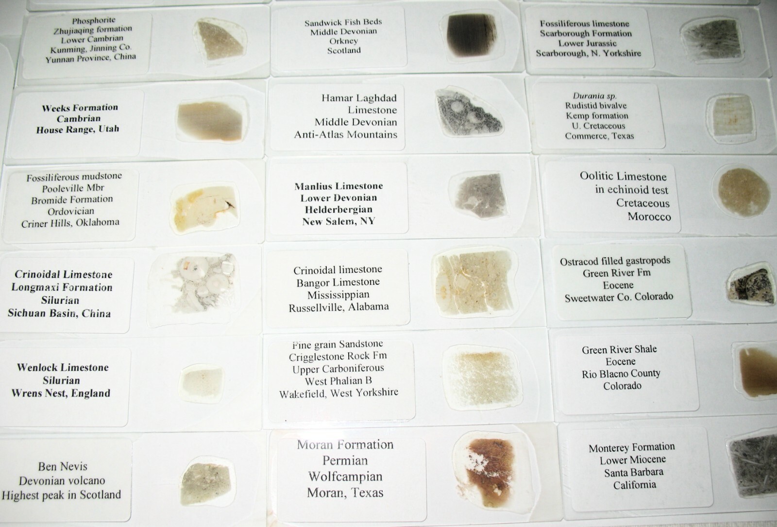 Geological Formation 25 Thin Section Slides Precambrian to Miocene Fossils Rocks