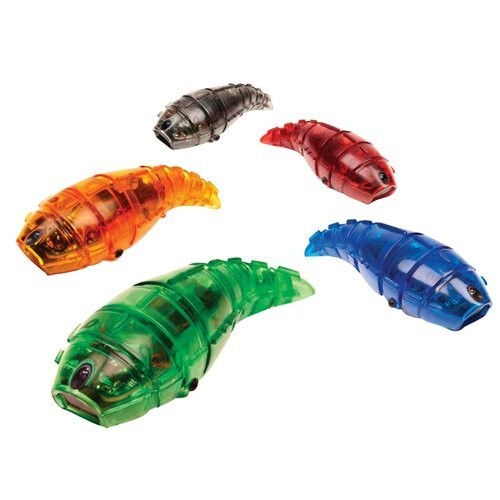 HEXBUG LARVA - MICRO ROBOTIC CREATURE - BATTERY POWERED  COLOR MAY VARY