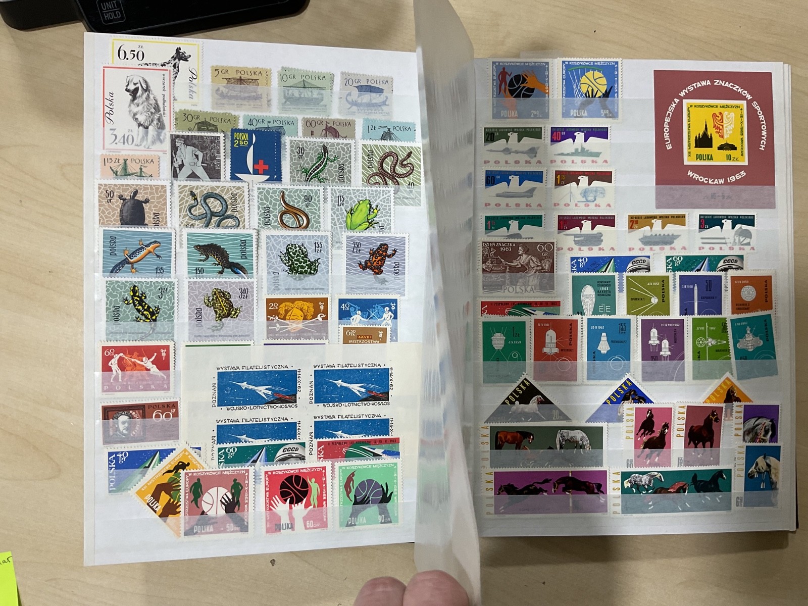 Poland stamps. Mostly mint. stock book. G/40