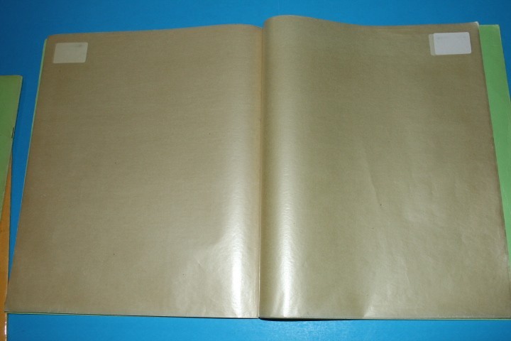 White Ace Mint Sheet File Capacity 14 pgs 1 pocket 12" x 9.75" BlueLakeStamps