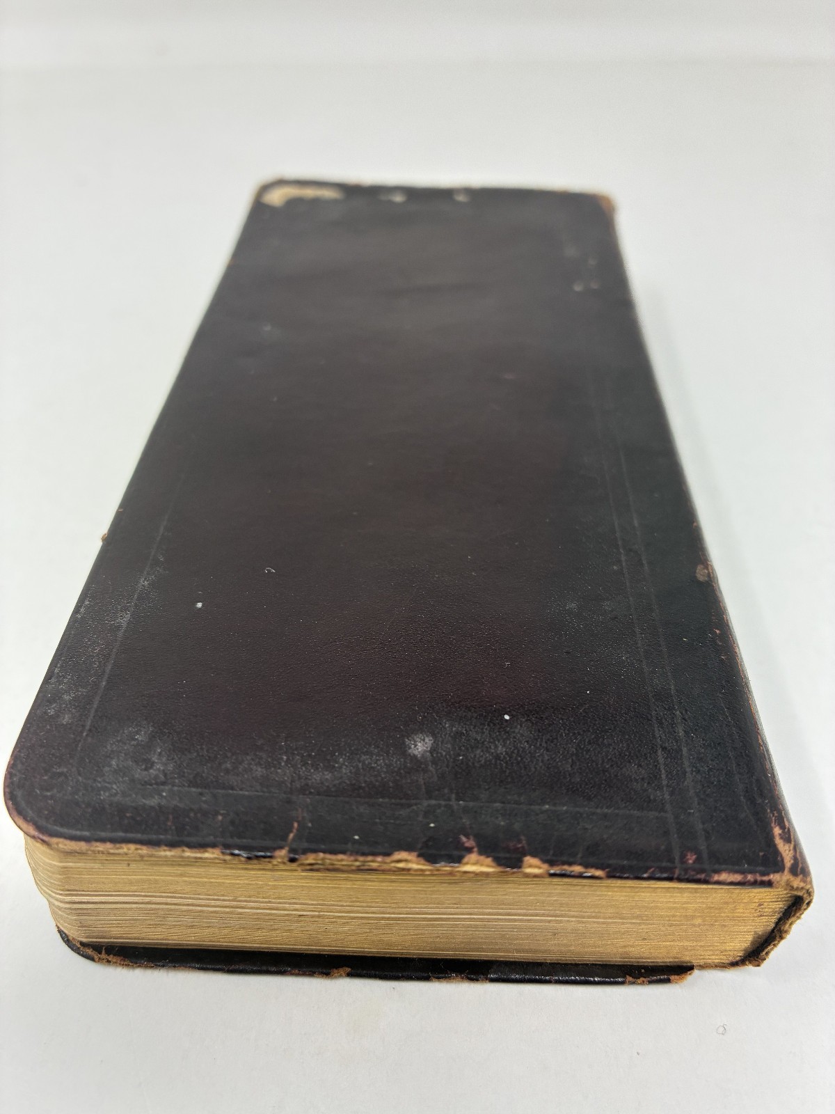 1900 Victorian Woman Wife & Mother Handwritten Diary with Her Life Memorial!