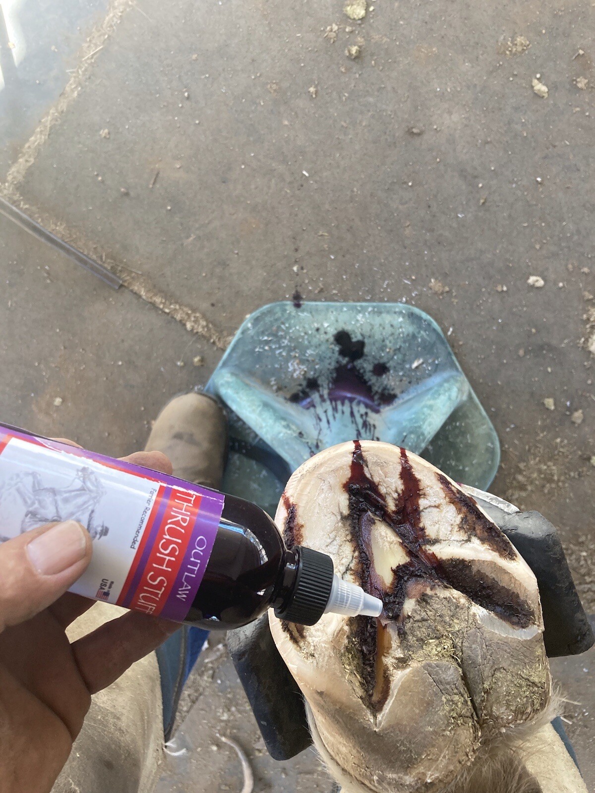 NEW 3 PACK!! Outlaw Thrush Stuff Treatment For Horses Hoofs And Abscesses Care