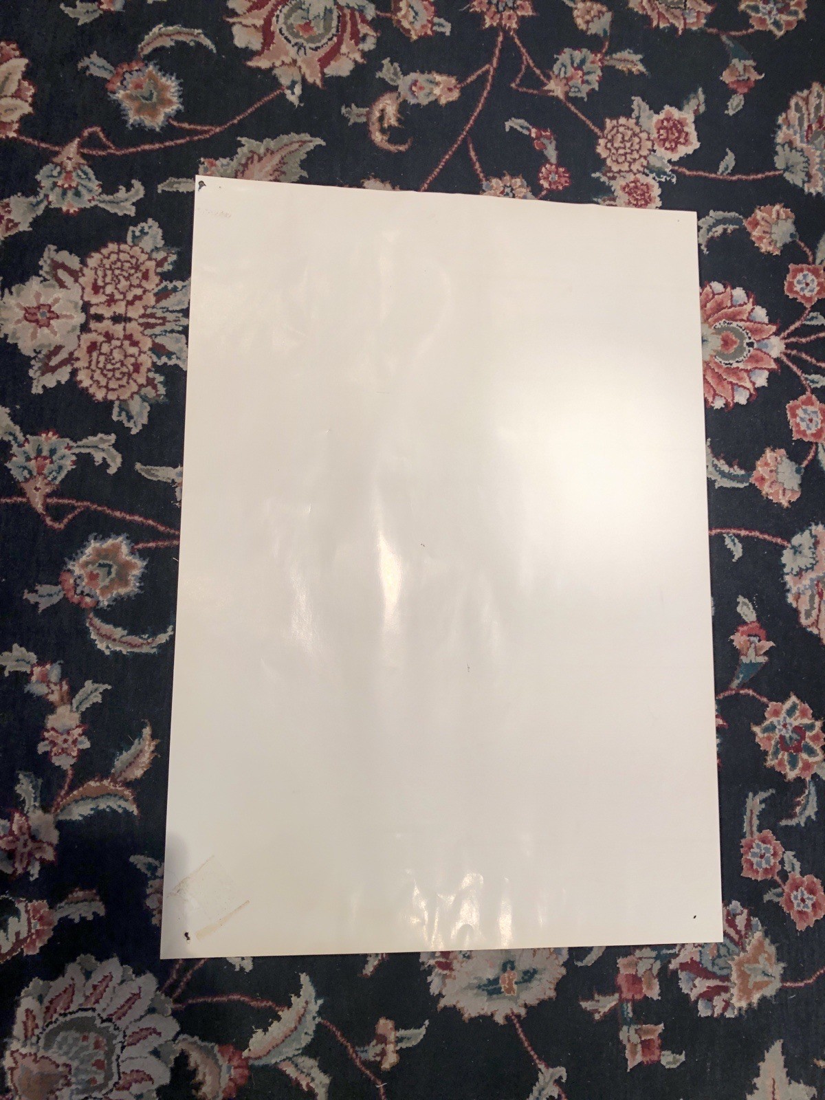 Jimi Hendrix - Presented by Lippmann + Rau - German Concert Poster Litho NICE!