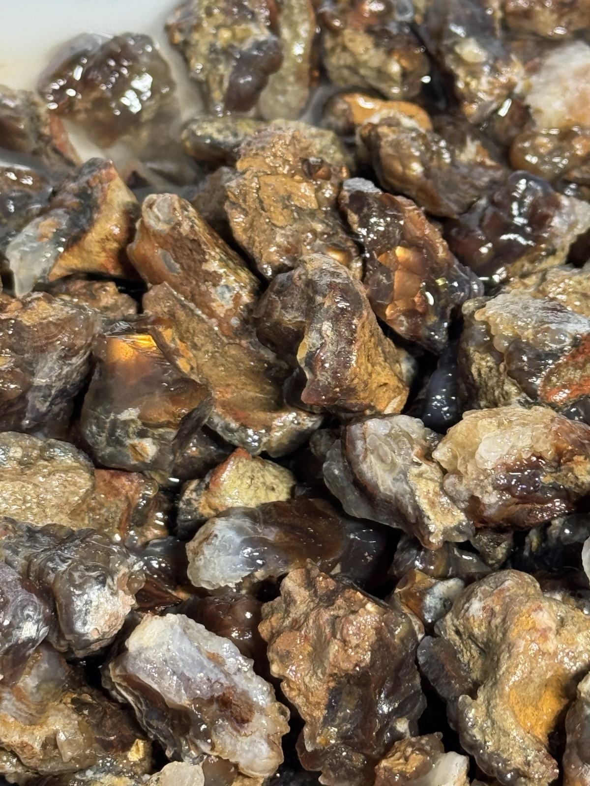 1/2 Lb Mid to Choice Grade Fire Agate Smalls Untreated Colorful Blind Grab Rough