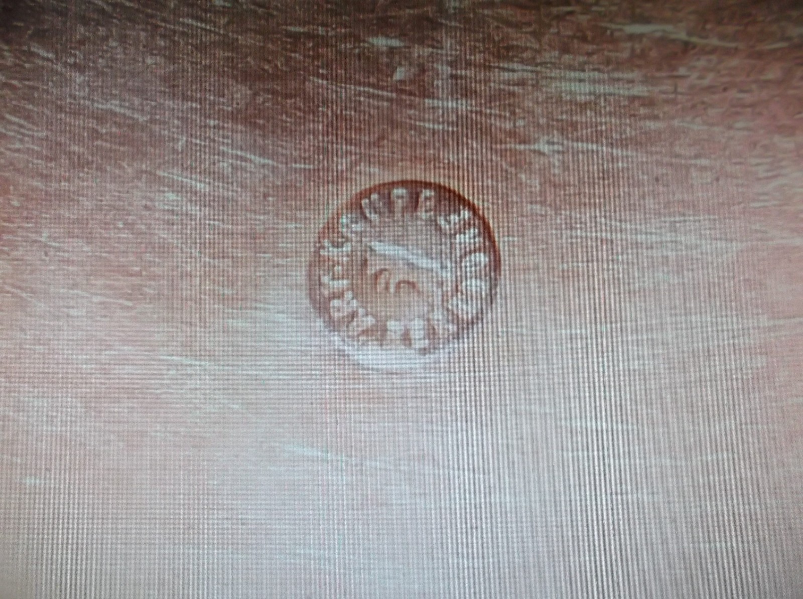 Vintage Silver Demitasse Espresso Cup by Krupp Berndorf, Original Liner