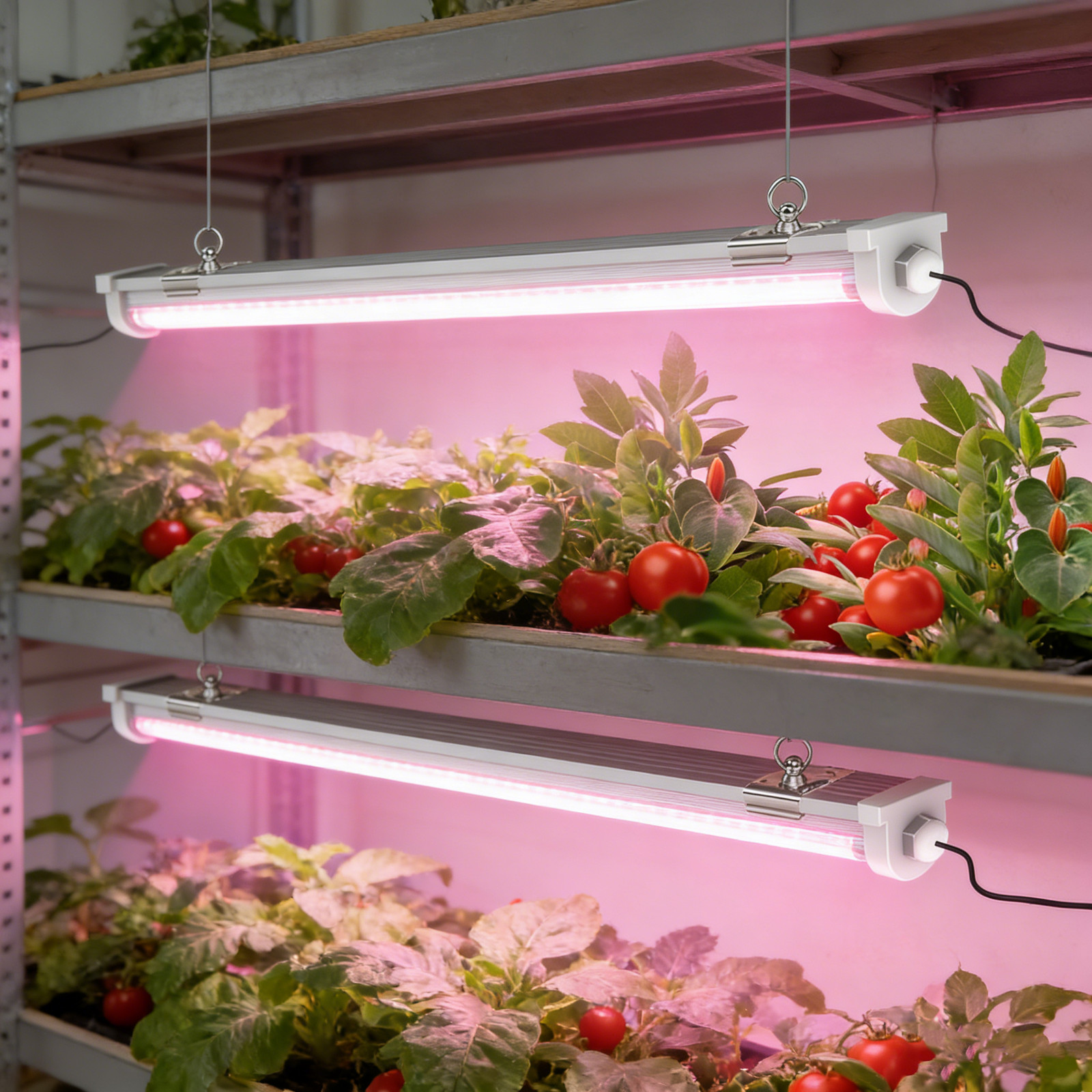 4 Pack T8 LED Grow Lights 4FT 4000K 48W Indoor Linkable LED Plant Growing Lamps