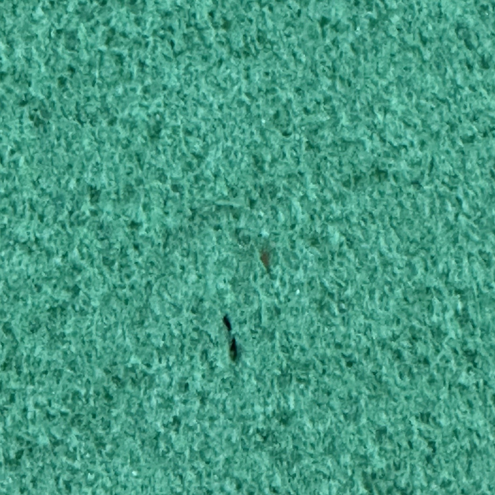 Birdieball Putting Mat 2x12 Ft Golf Putting Mat With Storage Bag