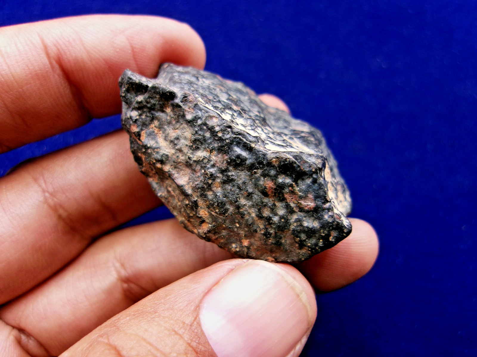 43.29 g - NWA 4502 - CVox3 Carbonaceous Meteorite - Tons of Chondrules & CAI's