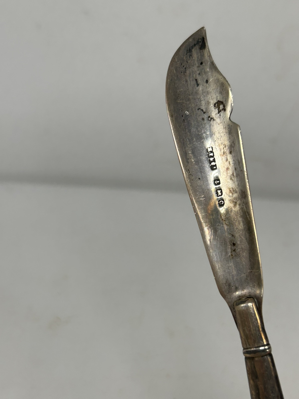 Cheese Knife Sterling Silver Mother Of Pearl Handle 5.5” Long Passant Lion C