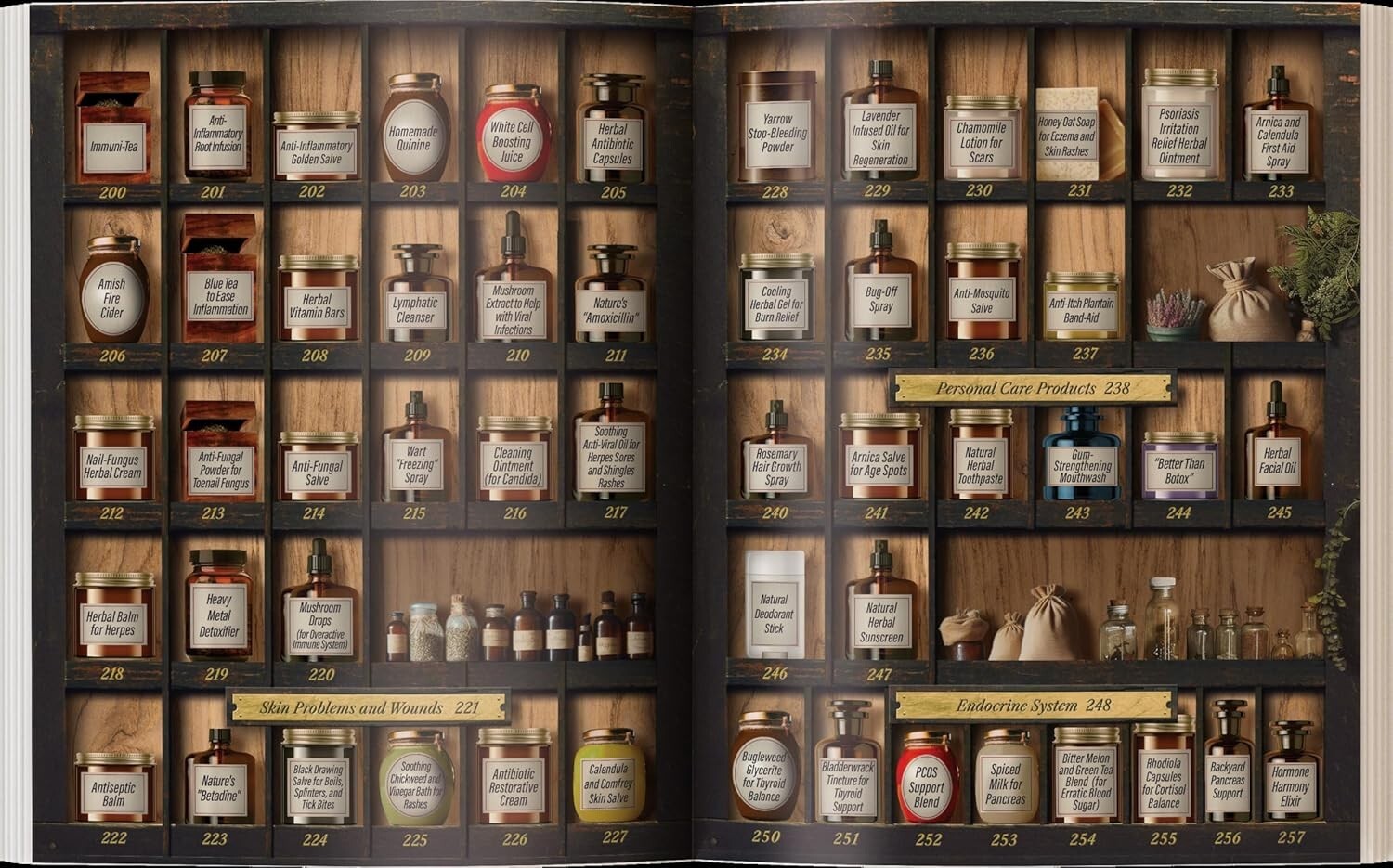 Forgotten Home Apothecary (paperback with color pictures)