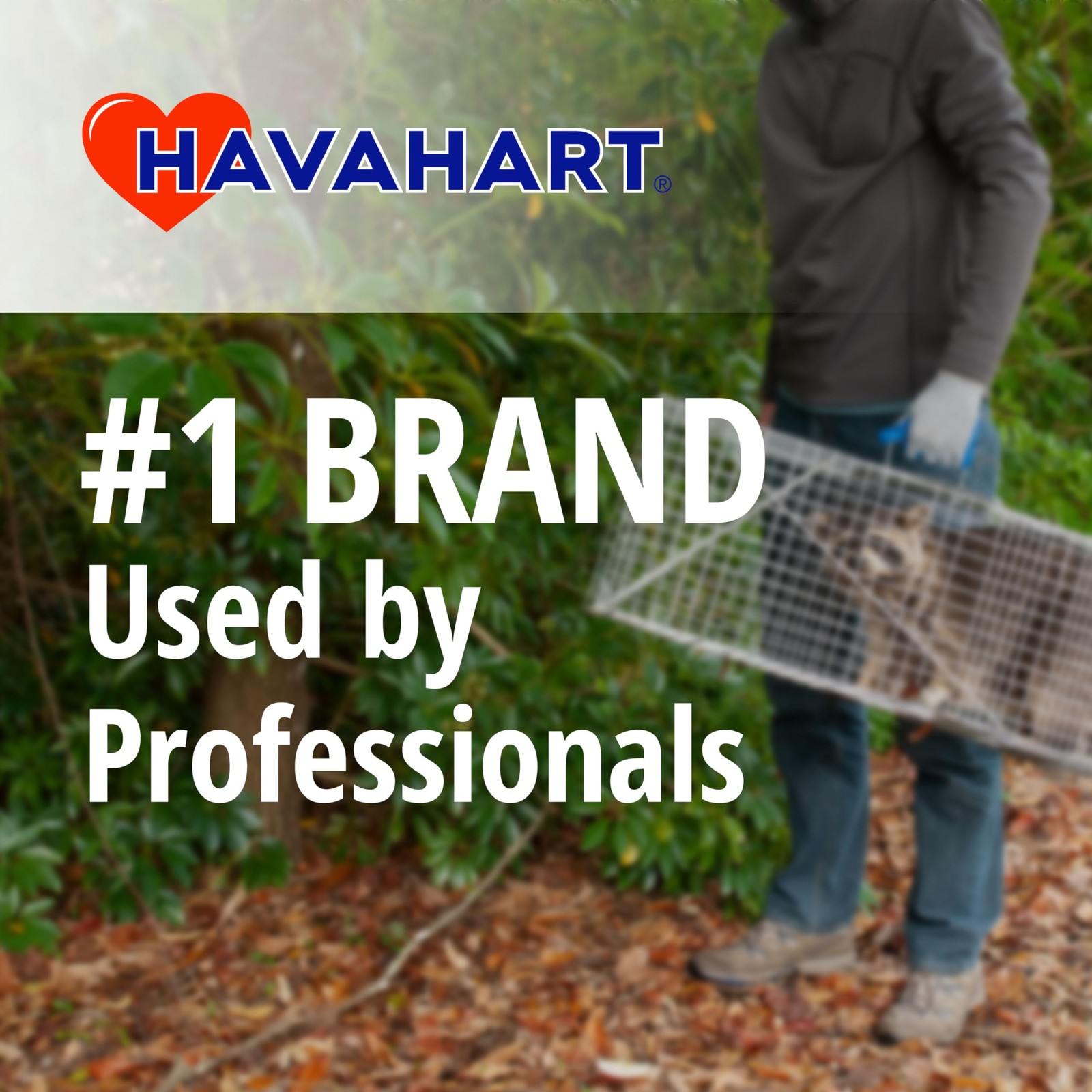 1079SR Large 1Door Humane Catch and Release Live Animal Trap Cage Live Racco...