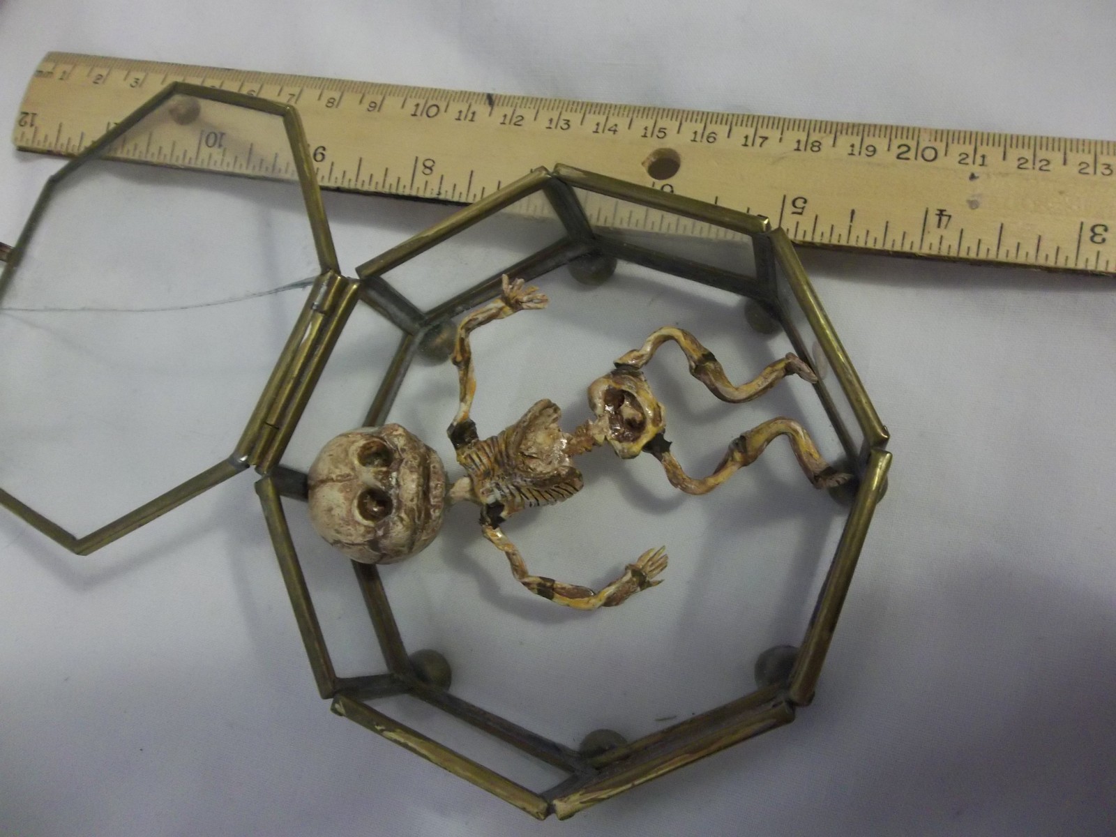 12 Week Fetus/Fetal Skeleton Curvature of Limbs Oddity Curiosity Sideshow Gaff