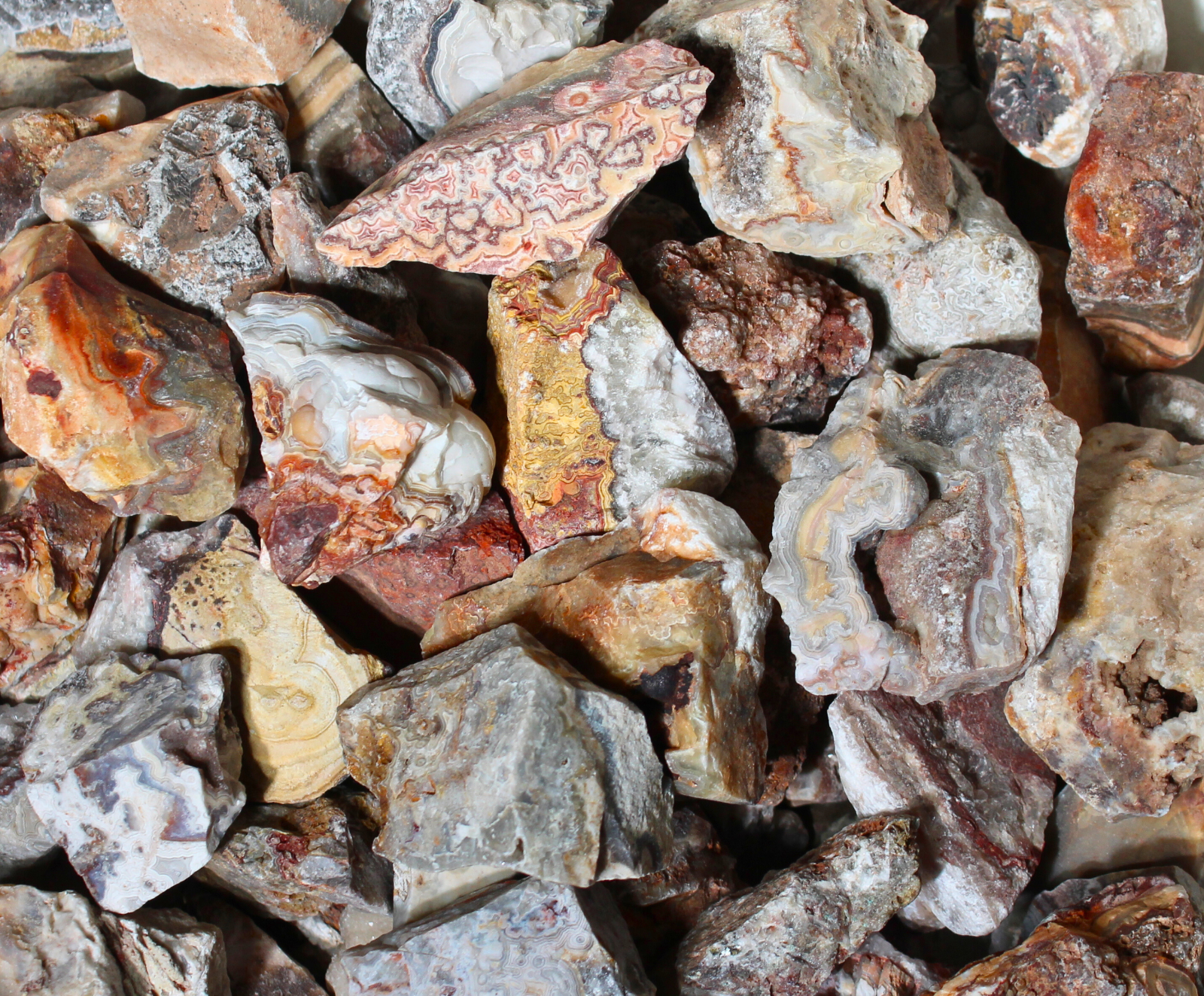 Crazy Lace Agate - Rough Rocks for Tumbling - Bulk Wholesale 1LB options