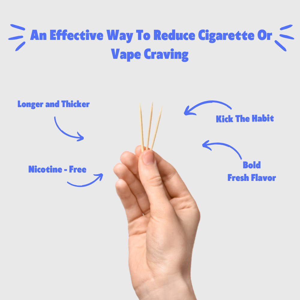 Quit-NIC Infused Flavored Toothpicks to Help Quit Smoking Cinnamon Swirl 3 Pack