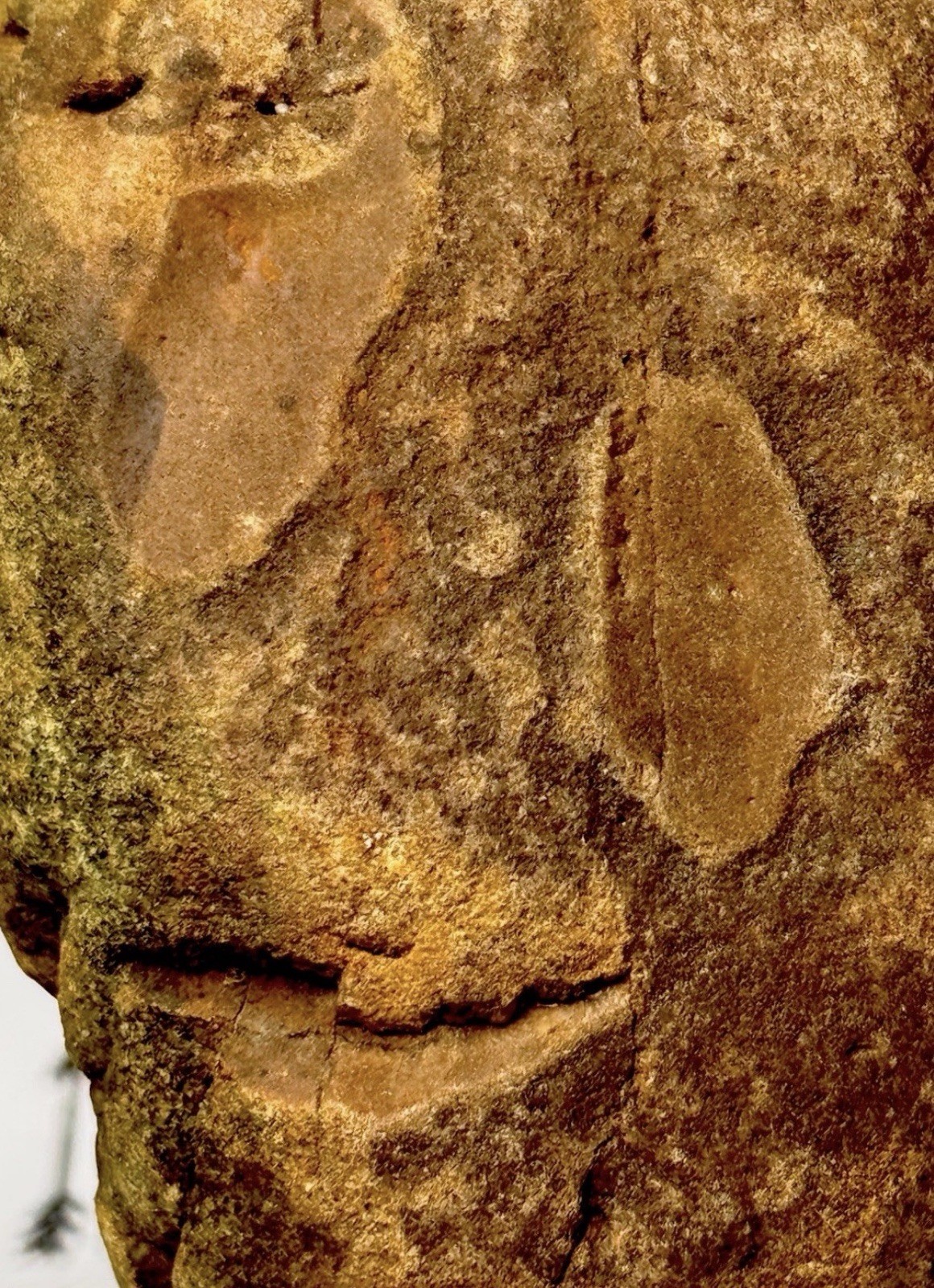 Native American Indian Authentic Artifact Stone Carved Effigy, 3 lb 2 oz • VA