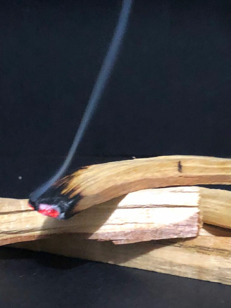 Palo Santo Incense 25 fresh sticks (4+inches long)