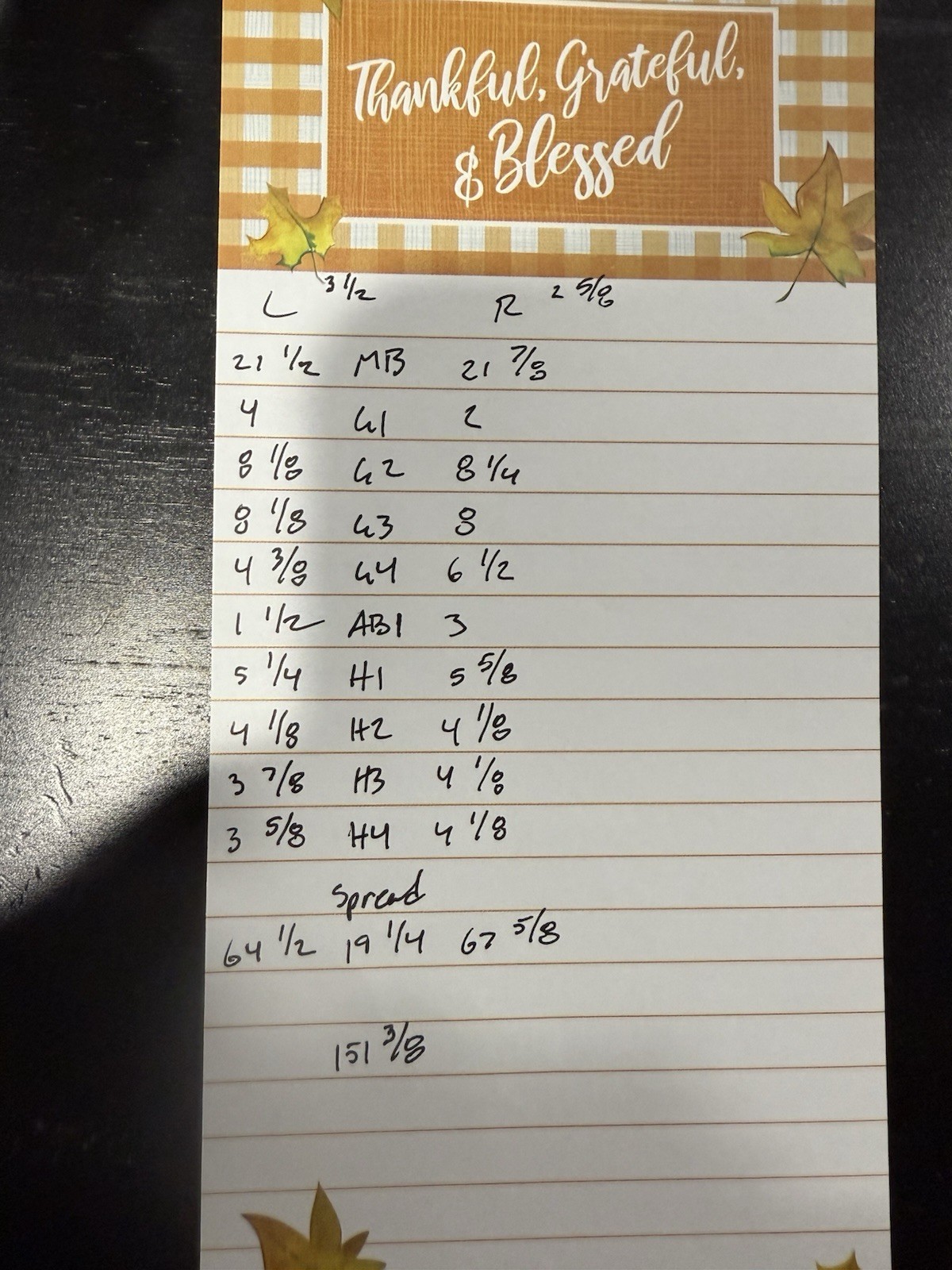 Wild 12 Point Whitetail Deer Antler Rack Horn Skull European Mount Man Cave 151"